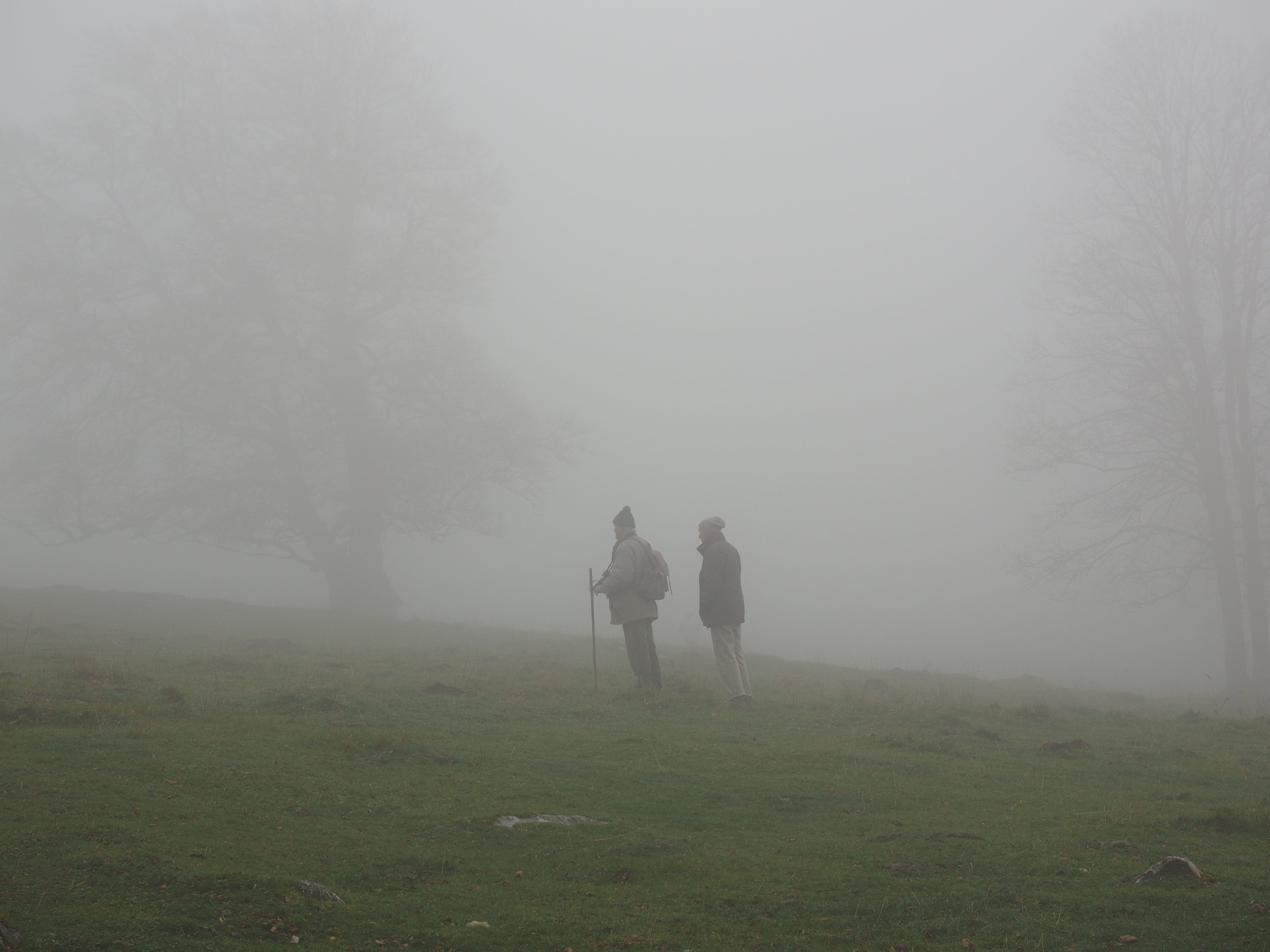 fog, full length, real people, 4K, leisure activity, two people, rear view, beauty in nature, lifestyles, wanderer, grass, men, day, standing, outdoors, HD Wallpaper