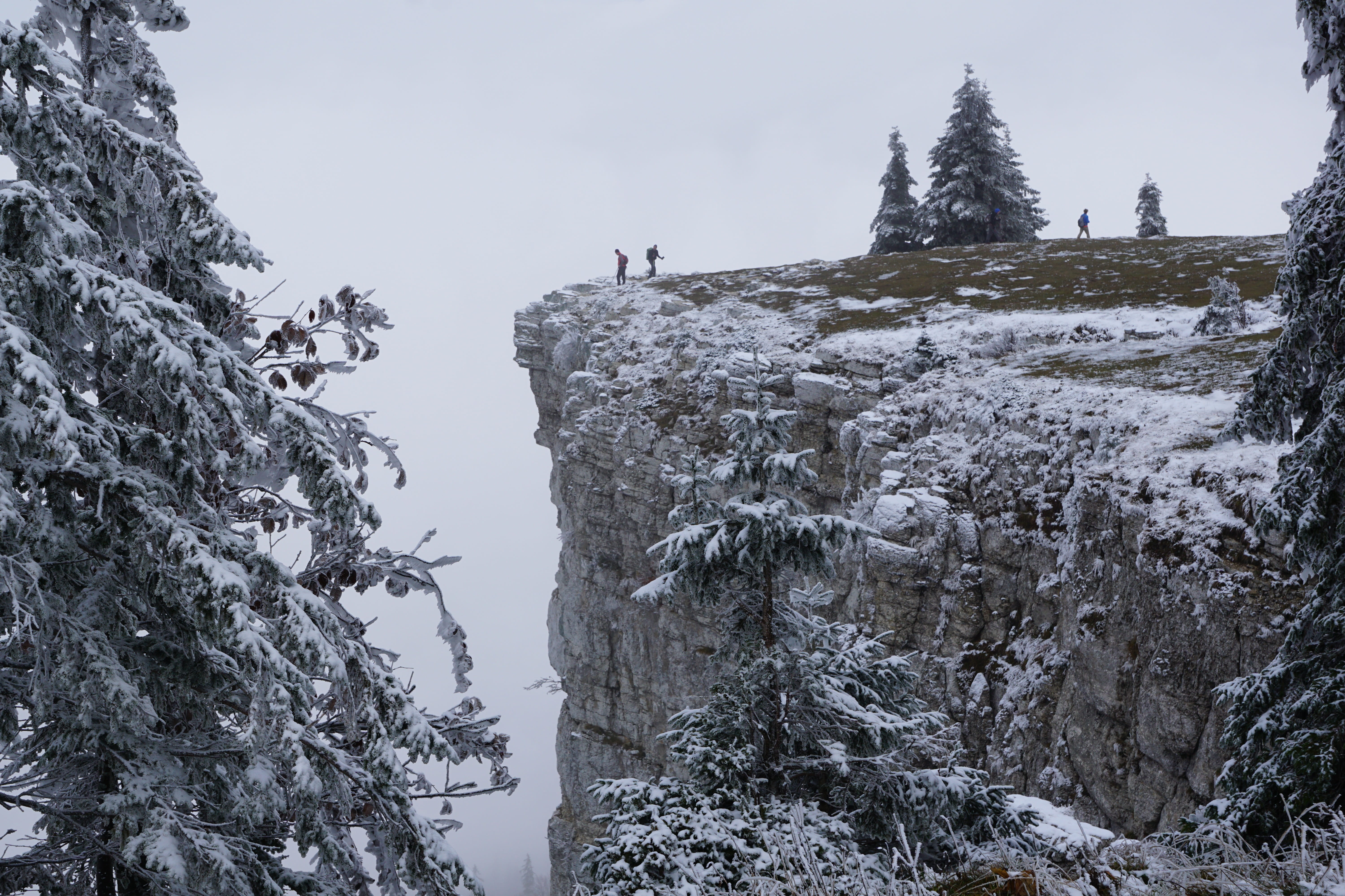 beauty in nature, nature, covering, 5K, non-urban scene, rock - object, creux du van, tranquility, sky, snow, scenics - nature, day, formation, tree, mountain, HD Wallpaper