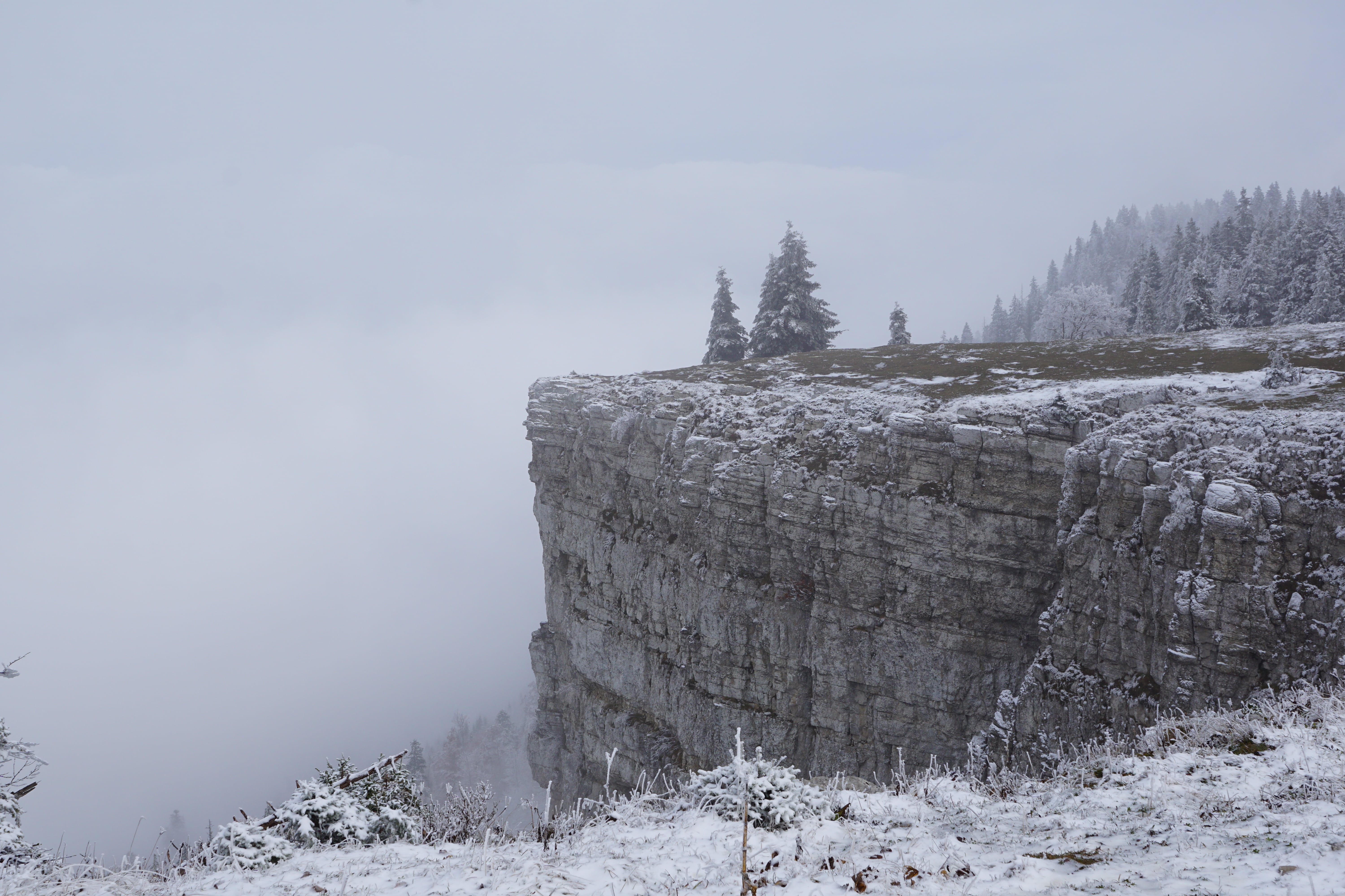 scenics, non-urban scene, outdoors, cold temperature, photography, jura, fog, snow, sky, creux du van, covered, coniferous tree, land, mountains, plant, HD Wallpaper