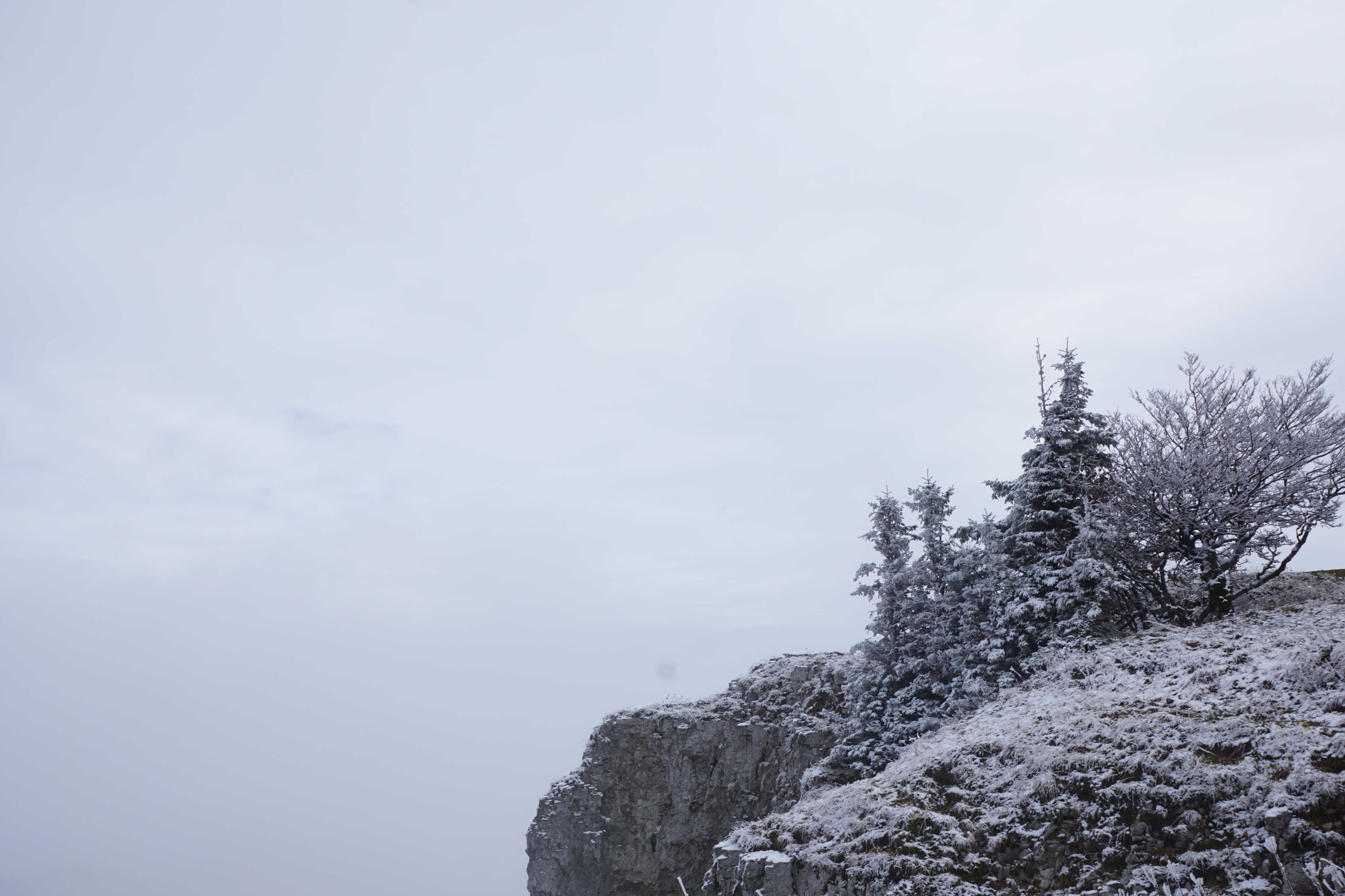 sky, non-urban scene, outdoors, low angle view, mountain peak, cliff, snowfall, jura, tranquility, snow, tree, creux du van, trees, no people, cloud - sky, HD Wallpaper