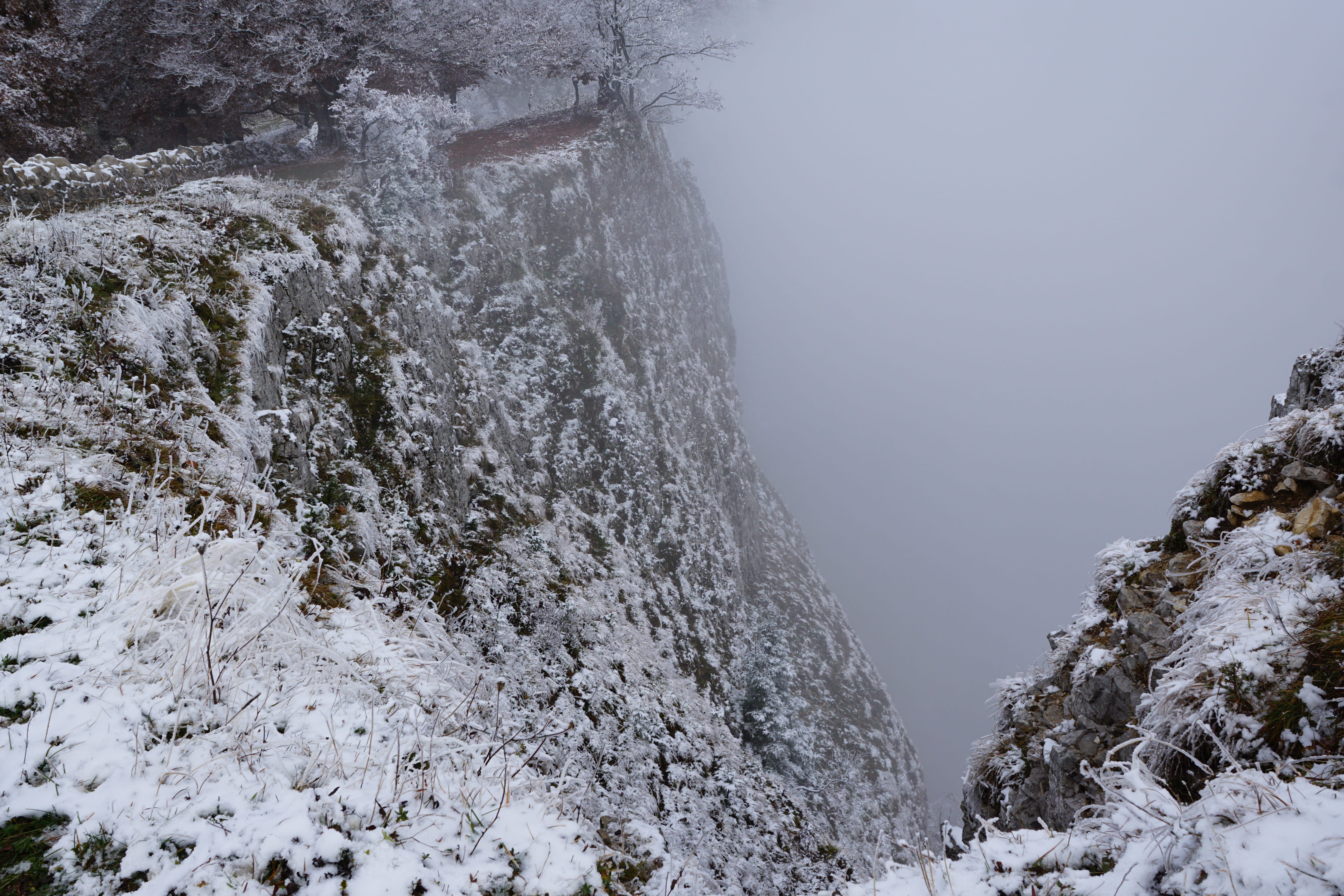 beauty in nature, Winter, Switzerland, white color, water, cold temperature, extreme weather, tree, scenics - nature, tranquility, mountain, cliffs, 5K, HD Wallpaper