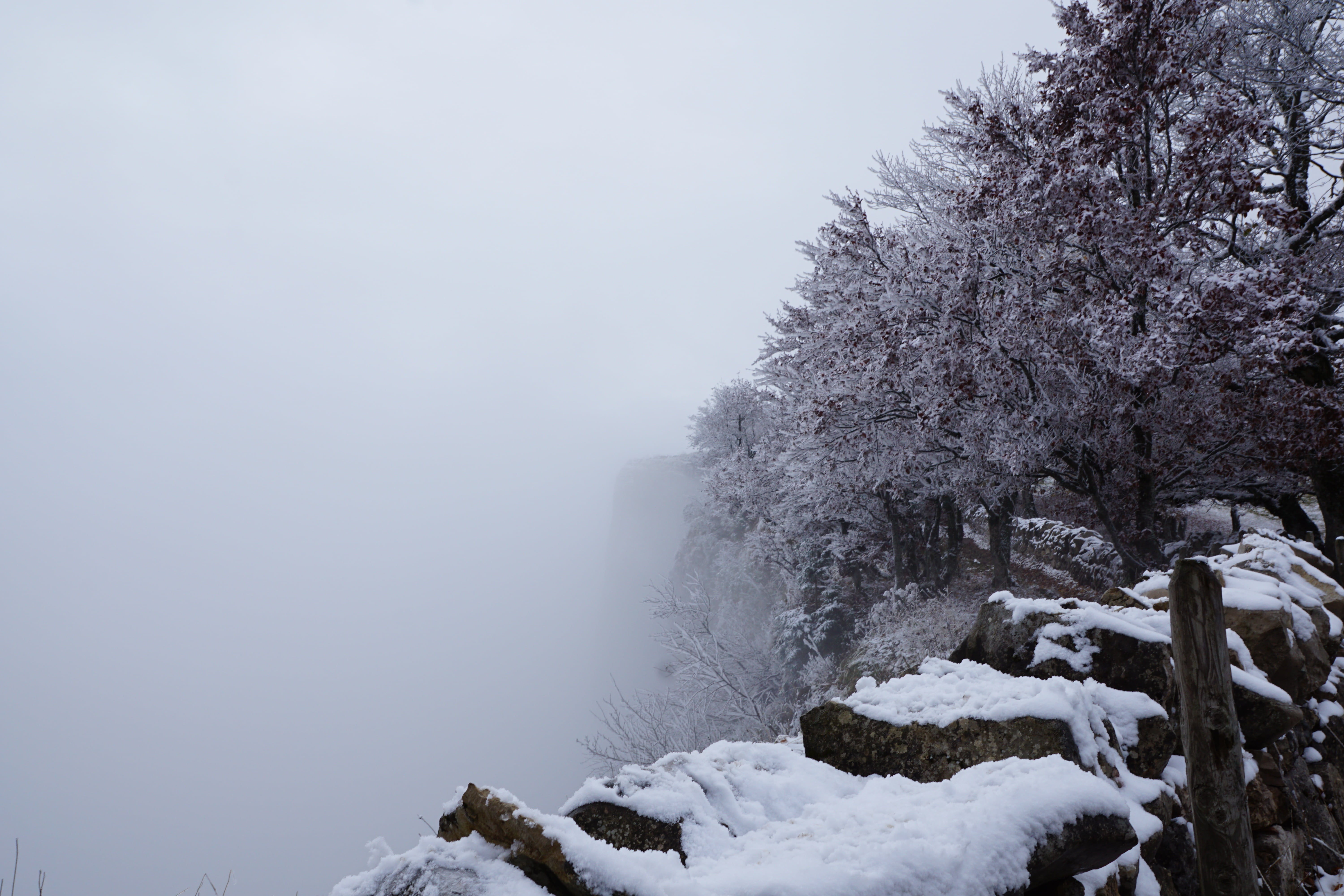 cold temperature, tranquility, branch, frozen, tranquil scene, no people, day, tree, creux du van, covering, sky, white color, plant, 5K, snow, nature, HD Wallpaper