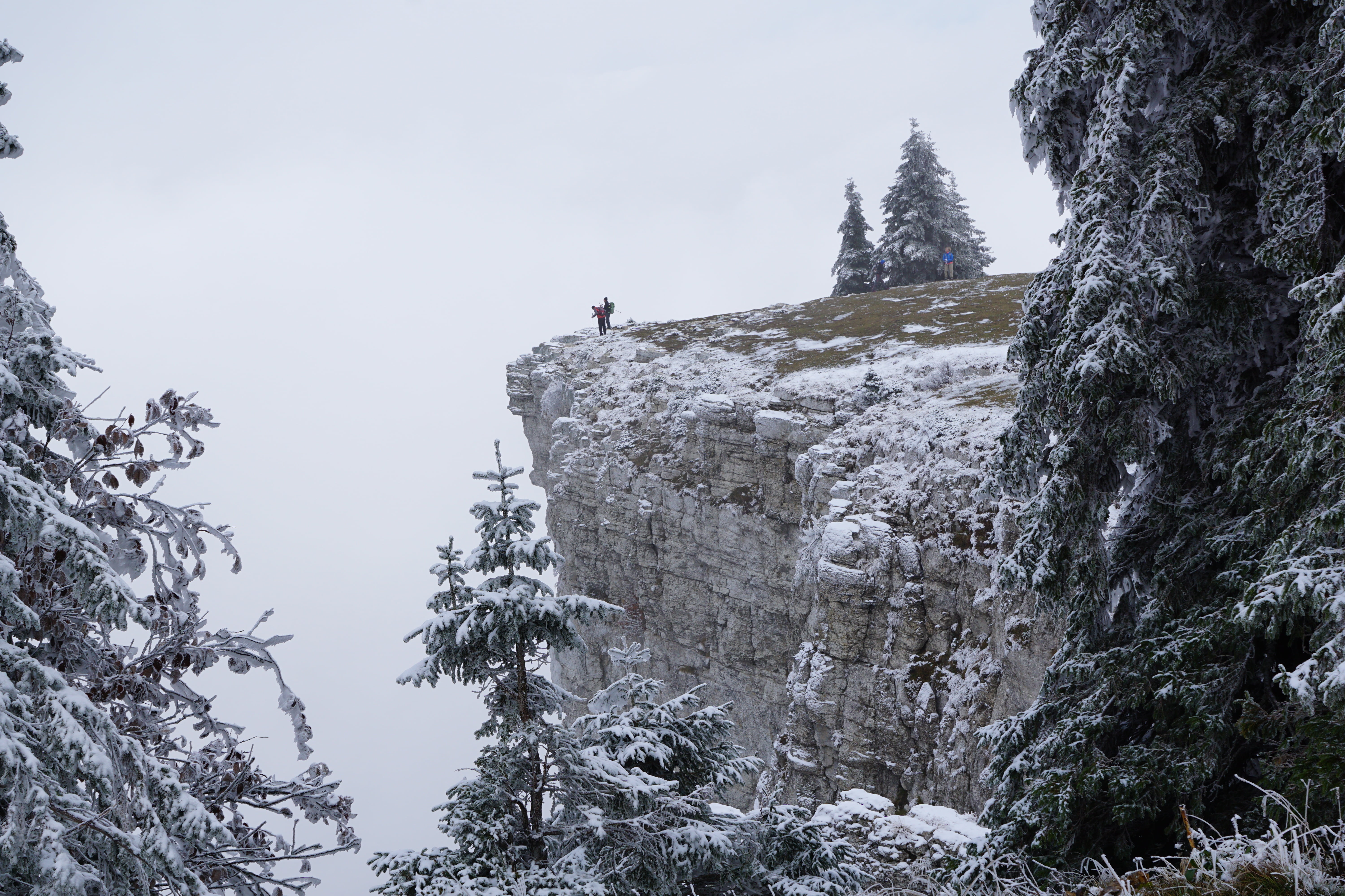 landscape, switzerland, person, activity, plant, adventure, forest, white, rock, formation, trees, nature, snow, winter, abyss, beauty in nature, tranquility, HD Wallpaper