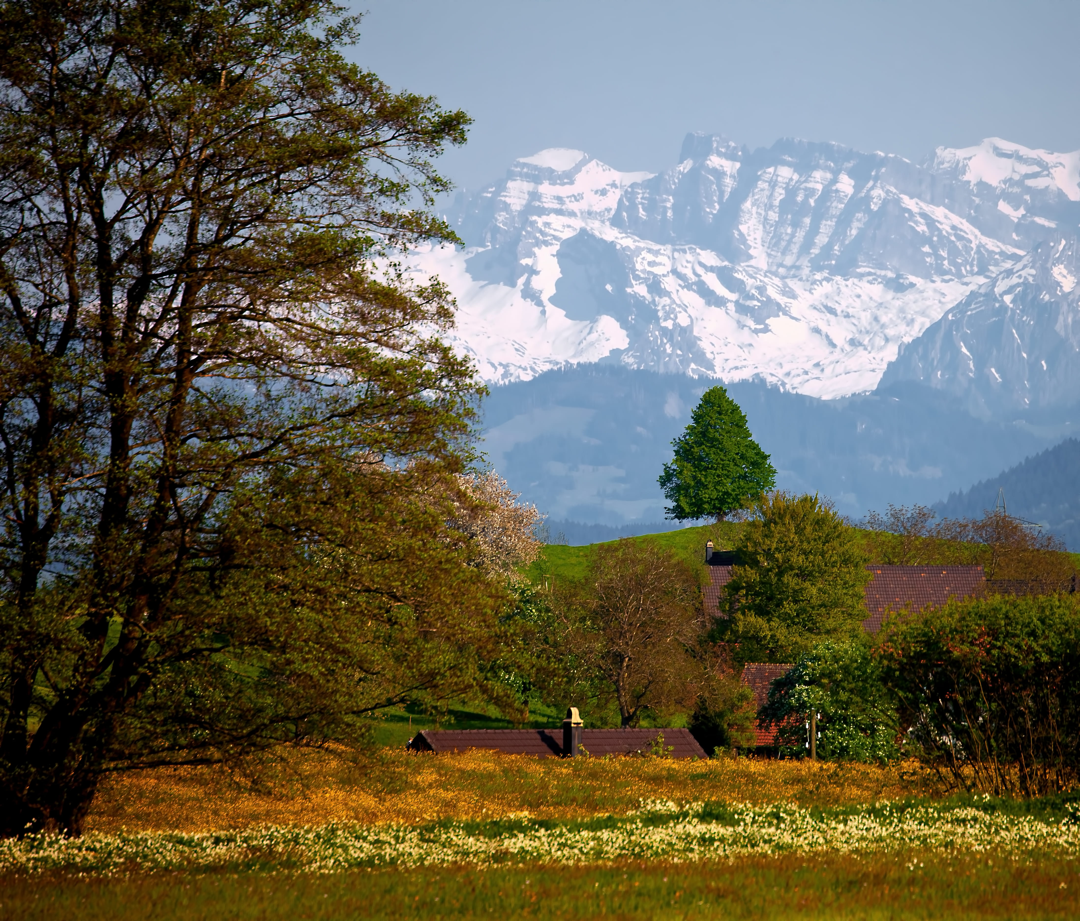 snow, rock, sky, landscape, tranquil scene, grass, flower, nature, change, non-urban scene, farm, green color, mountain range, day, growth, land, outdoors, HD Wallpaper
