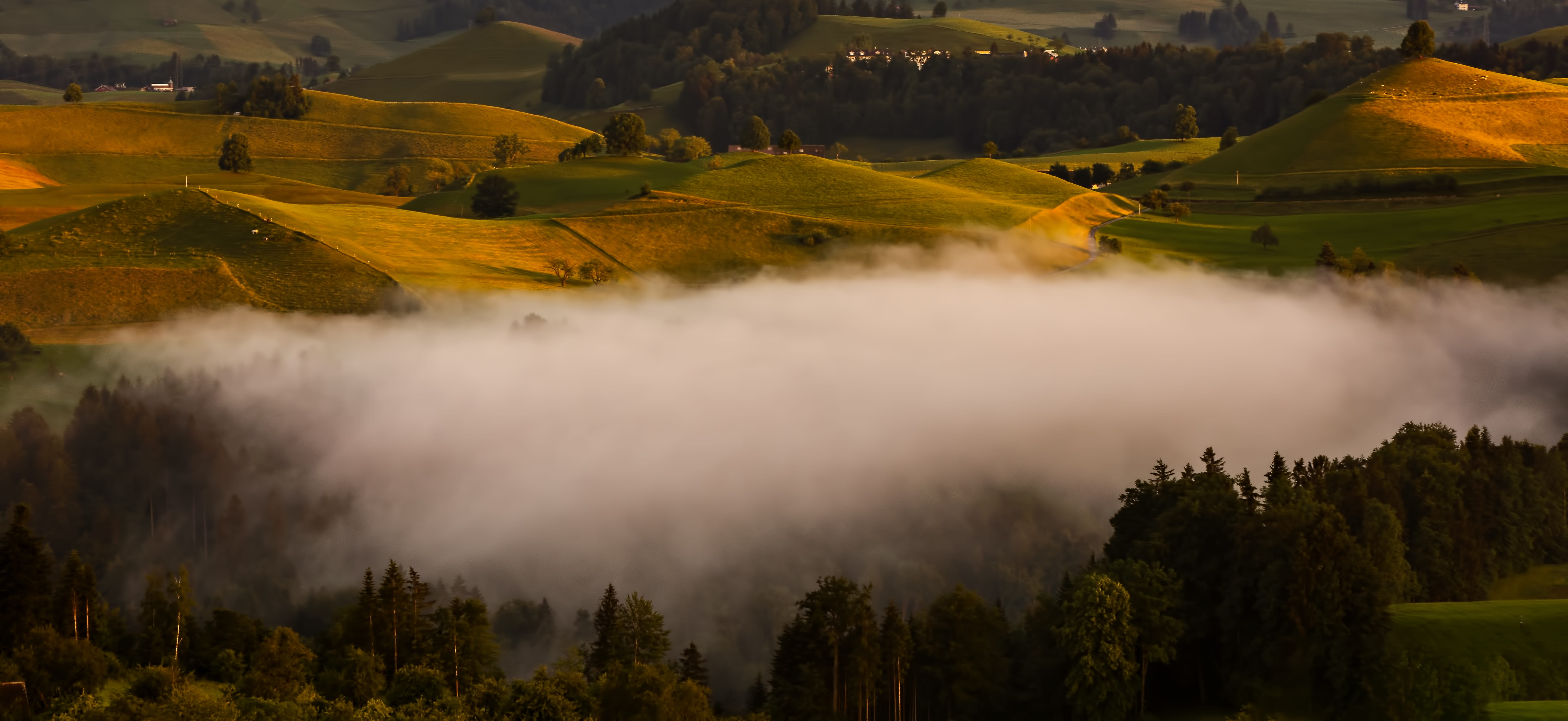 trees, scenics - nature, water, green color, covered, mist, tranquility, tranquil scene, mountain, non-urban scene, misty, mountain range, hirzel, environment, HD Wallpaper