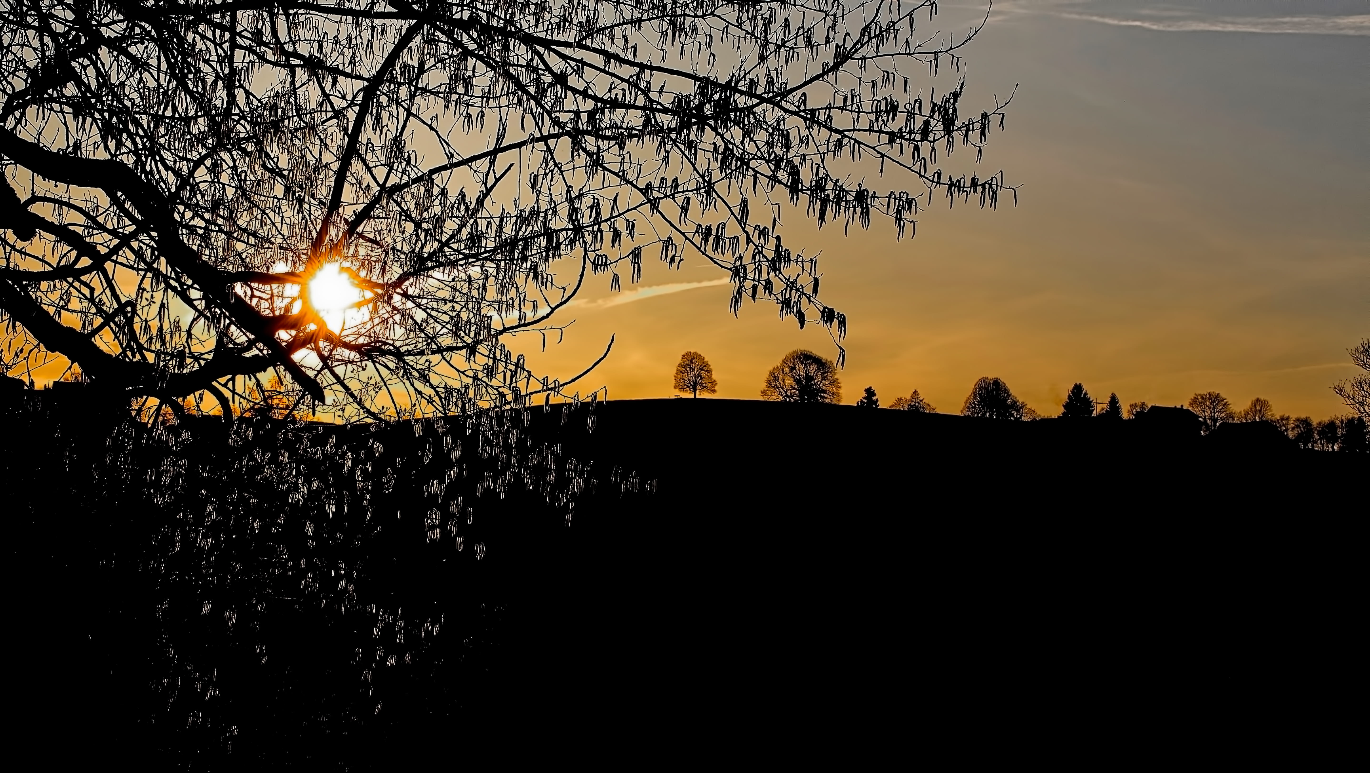 landscape, trees, outdoors, switzerland, sky, shadow, hirzel, sun, silhouette, 5K, branch, growth, lens flare, autumn, sunlight, hill, mountain, tranquility, HD Wallpaper