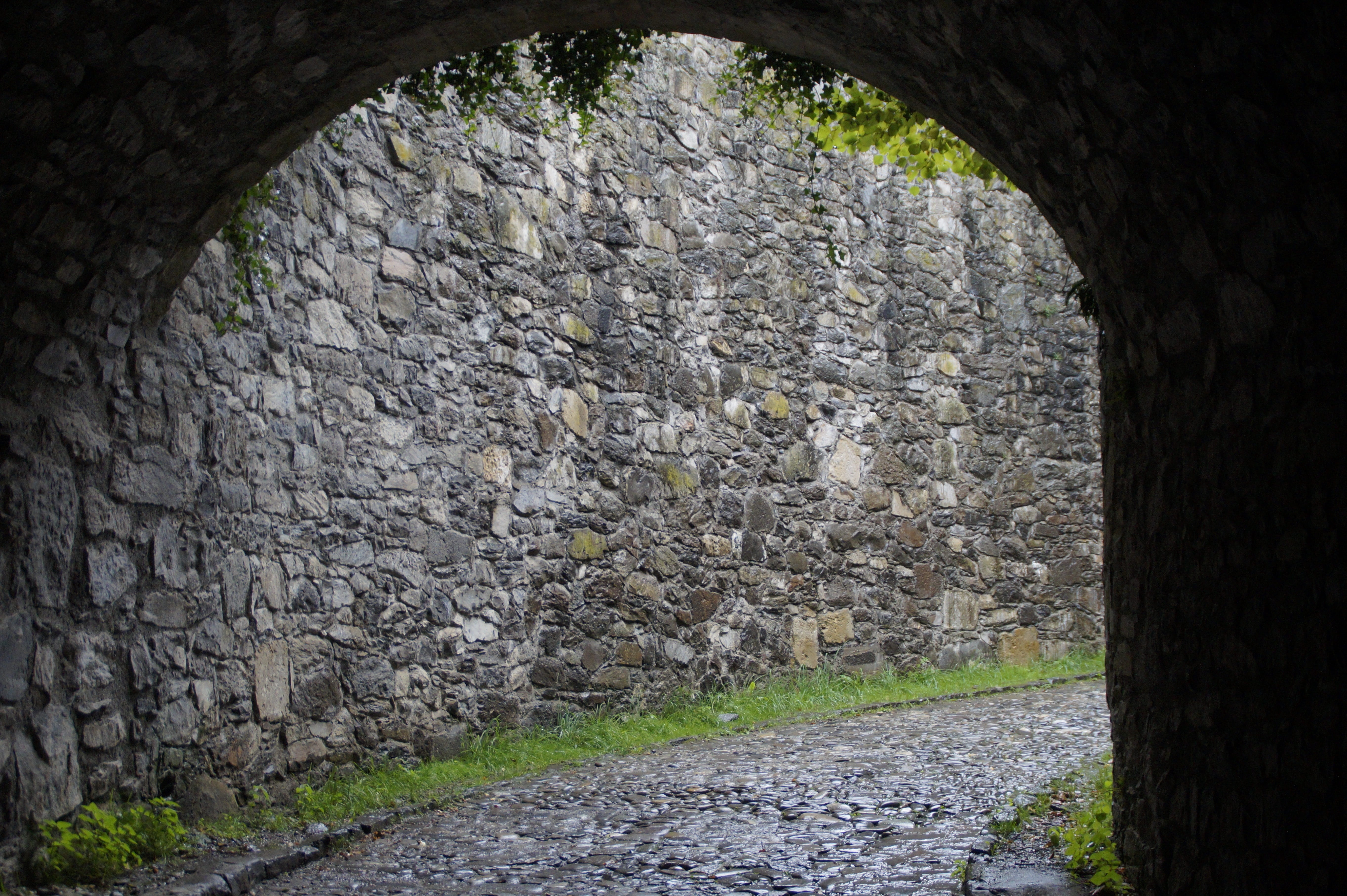 castle, arch, wall, solid, concrete, stone material, stones, germany, wet, history, archaeology, goal, ruined, nature, steinig, away, plant, built structure, HD Wallpaper