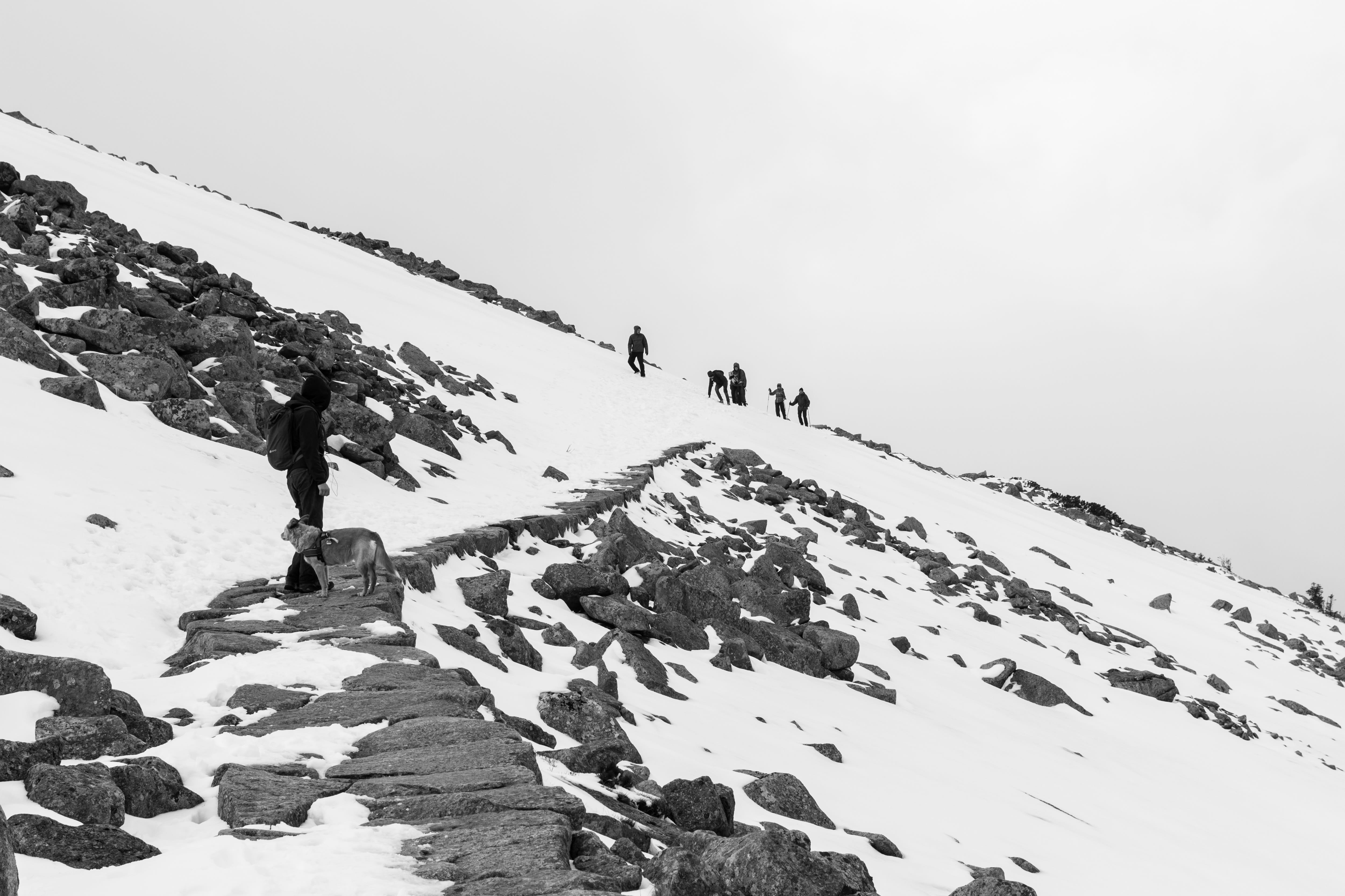 snowflakes, mountaineering, leisure activity, mountain range, snow, scenics - nature, environment, Mountain, group of people, nature, mountain climbing, HD Wallpaper