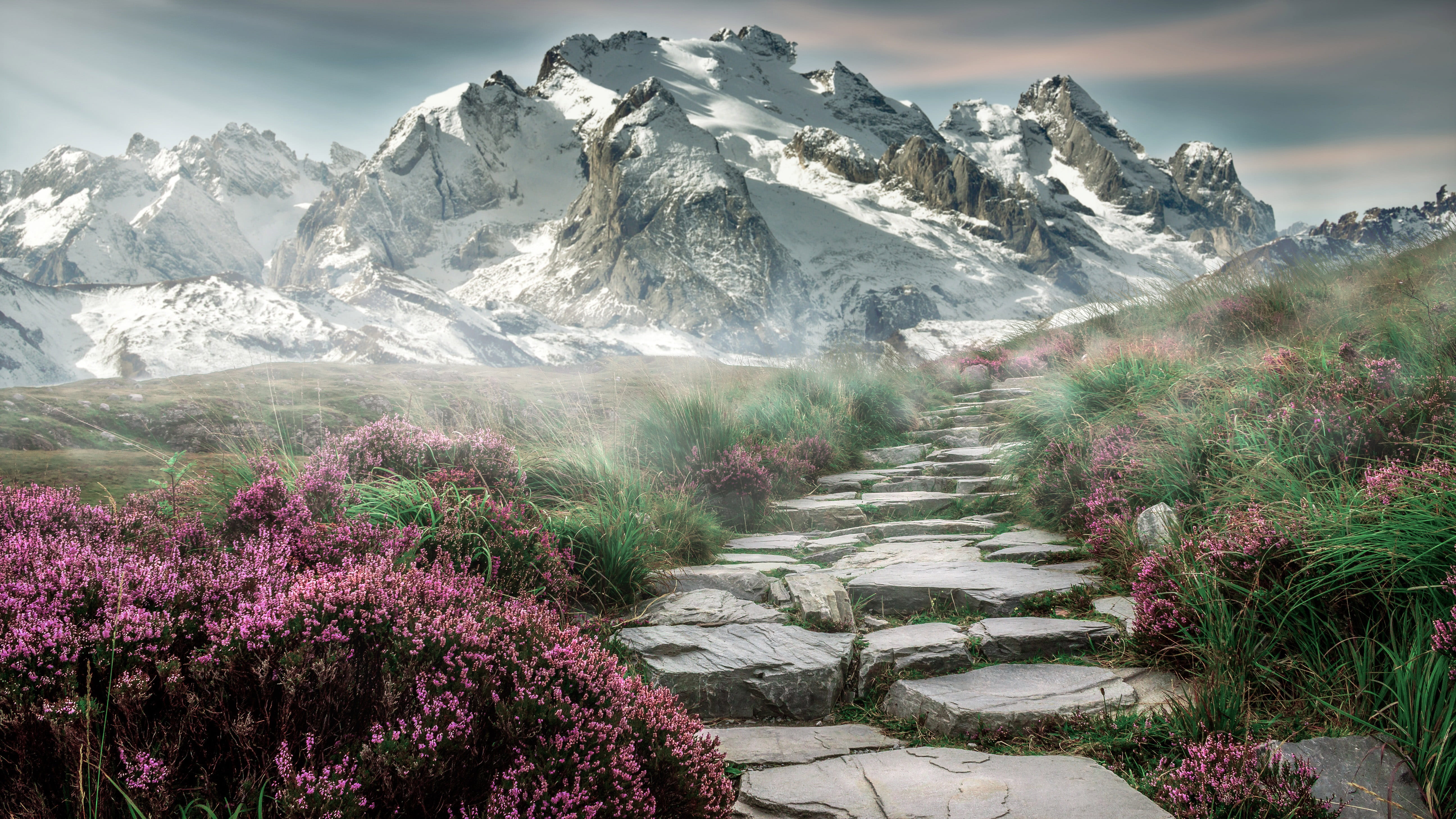 hiking, tranquility, 5K, steps, tranquil Scene, no People, cold temperature, landscape, environment, outdoors, travel, flowers, freshness, sky, beauty In Nature, HD Wallpaper