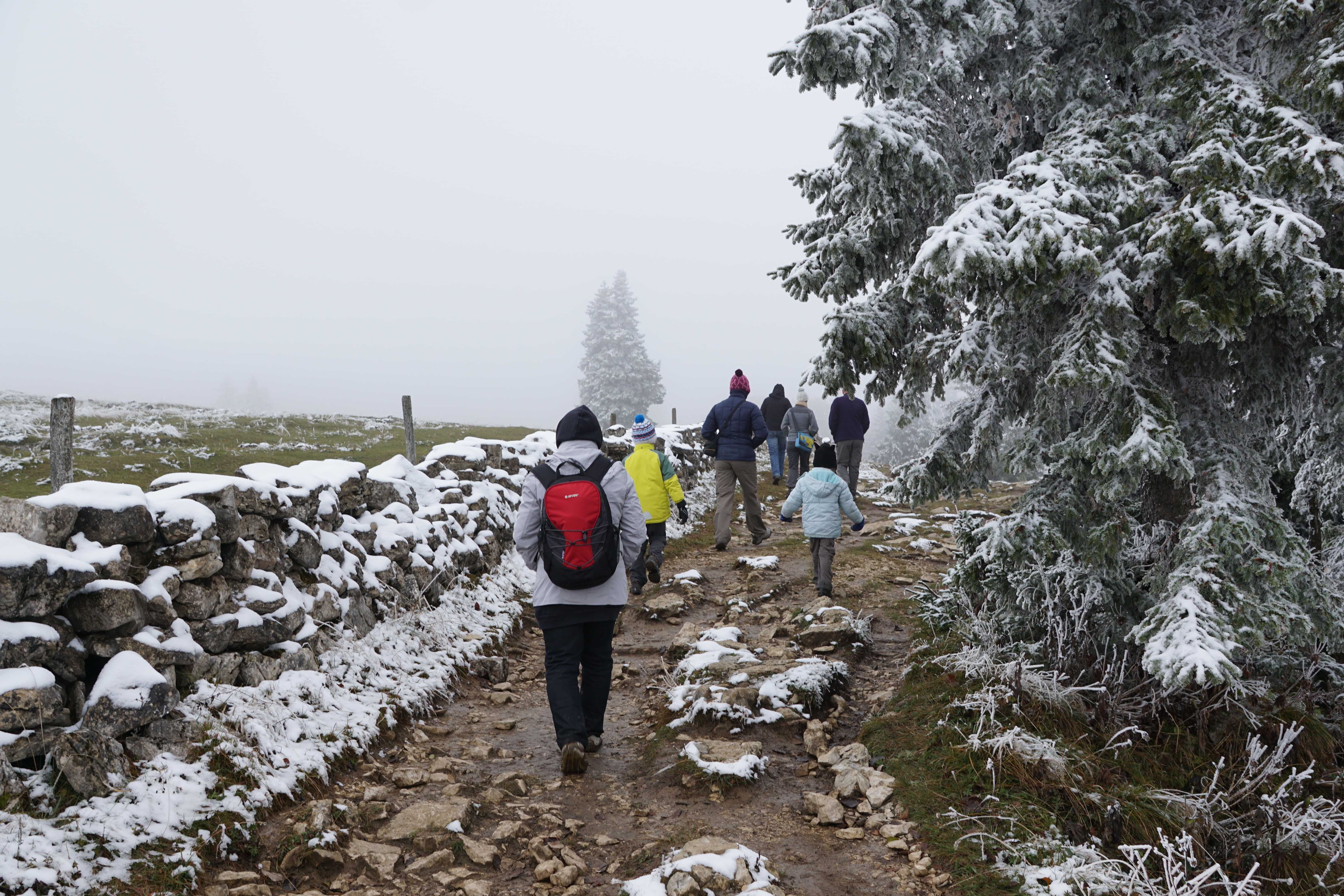 cliff, people, nature, snow, leisure activity, men, rear view, cold temperature, jura, tree, winter, abyss, mountain, group of people, day, trees, full length, HD Wallpaper