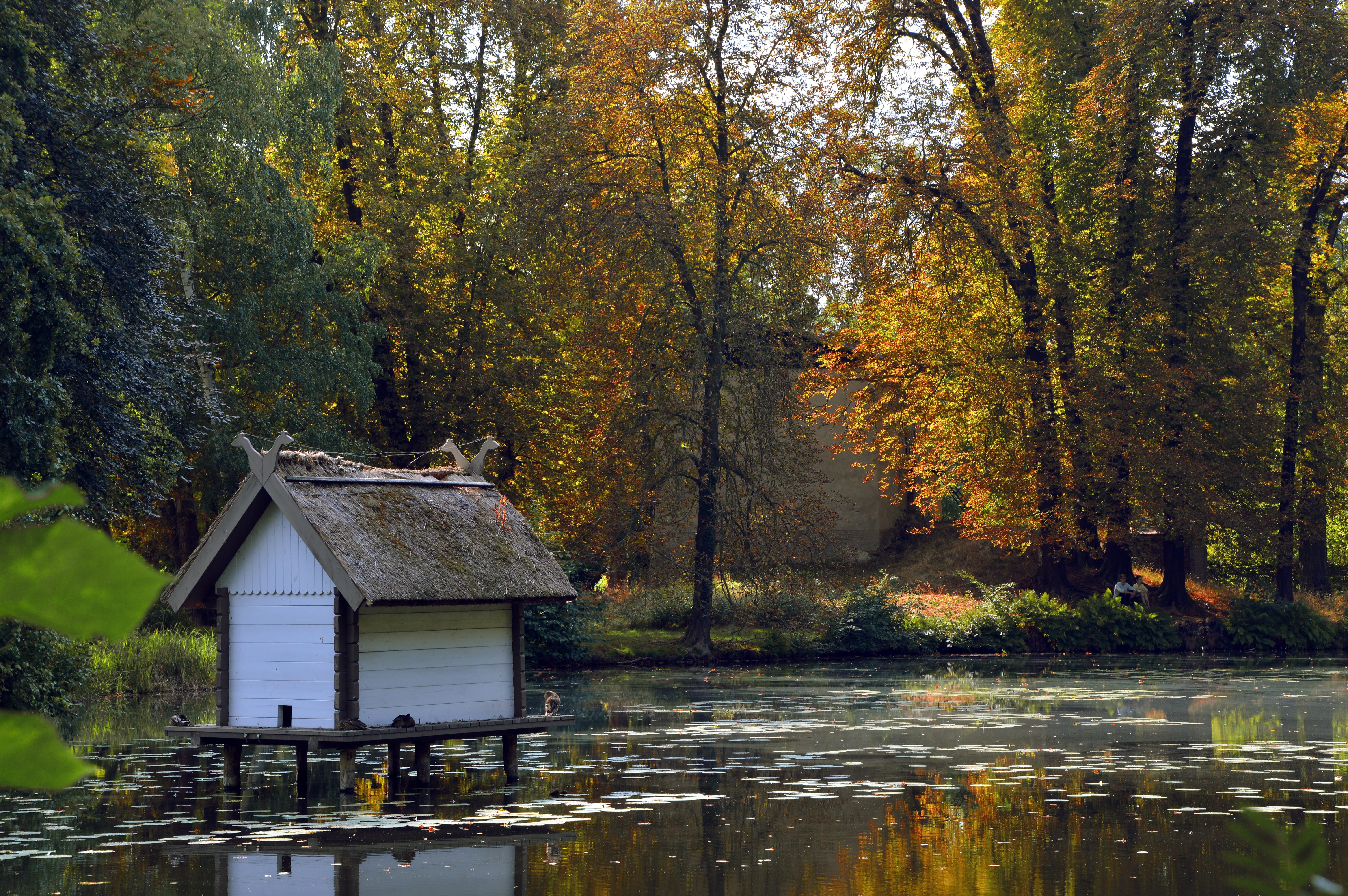 atmosphere, waterfront, aviary, colorful, park, tranquil scene, water, tranquility, pond, reflection, fall, emerge, trees, 5K, change, beauty in nature, HD Wallpaper