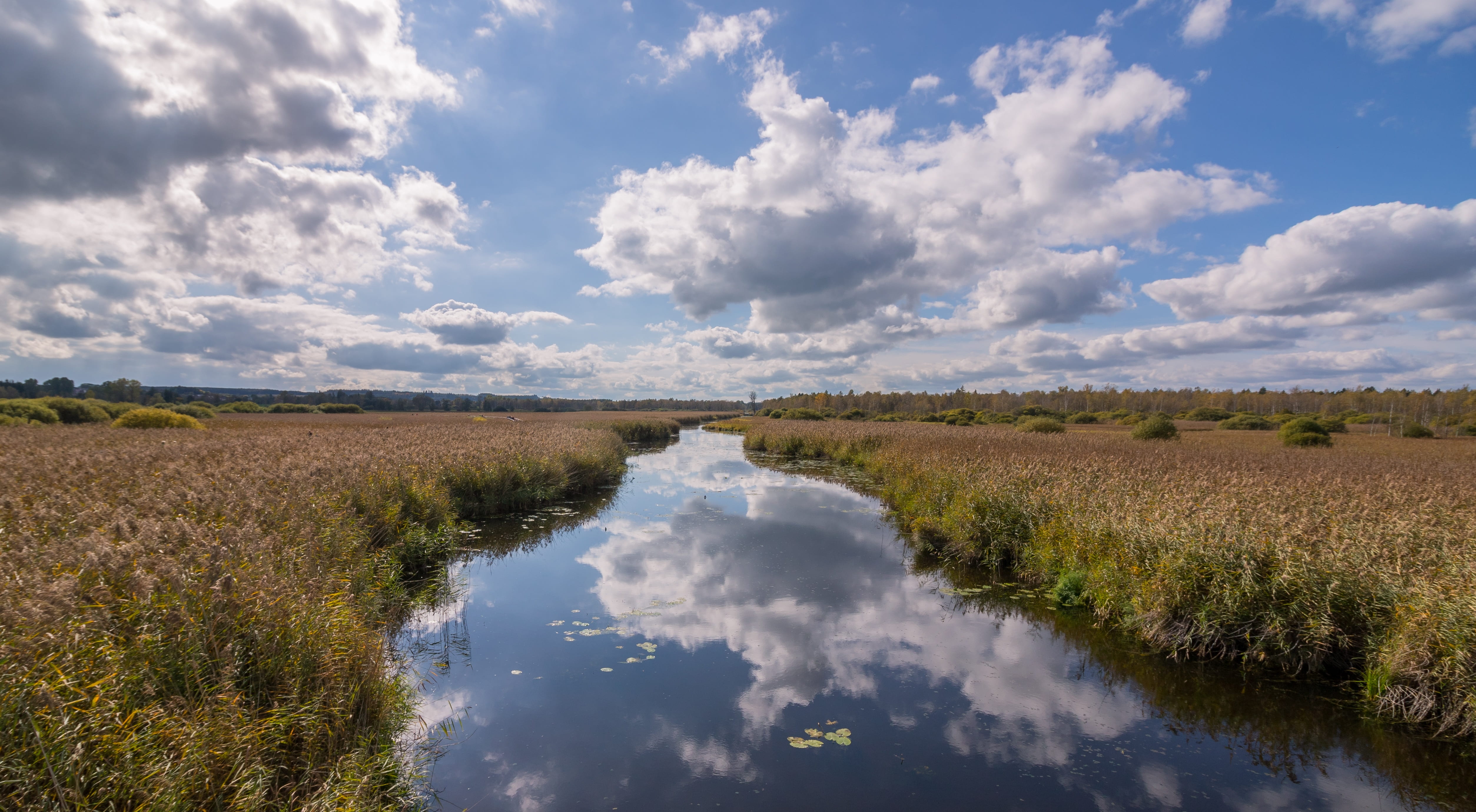 mirroring the fall, grass, sky, reflection, beauty in nature, scenics - nature, clouds, riedsee, world heritage, environment, plant, moor, land, late summer, HD Wallpaper