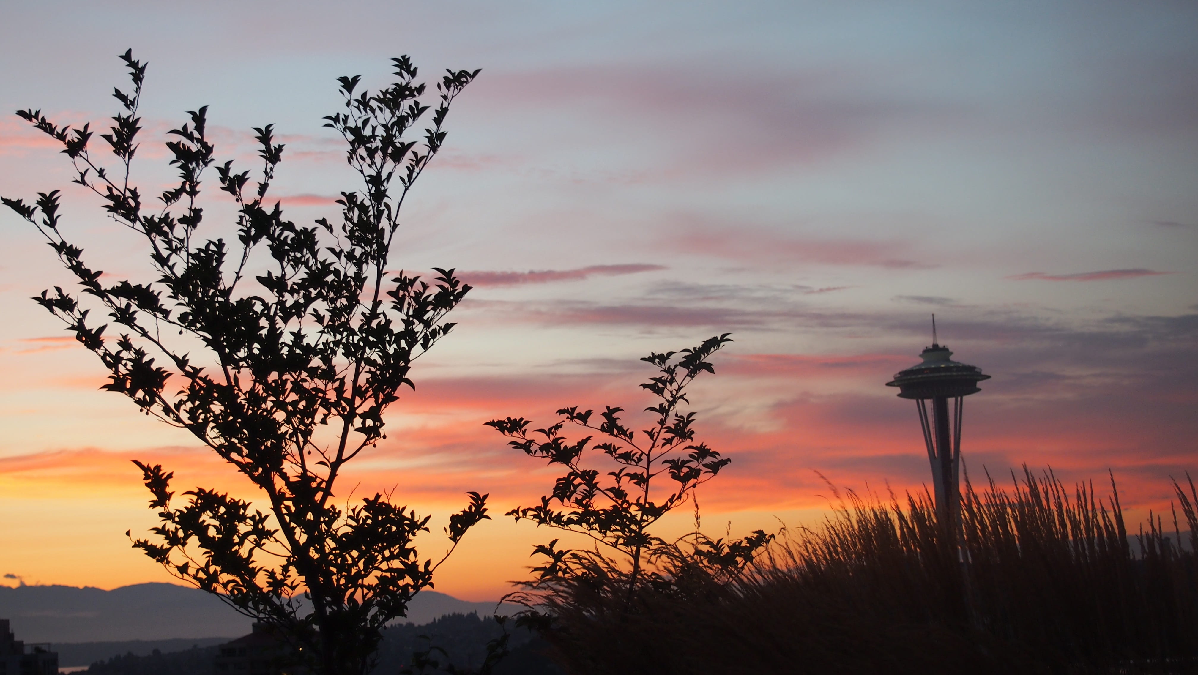 silhouette, atmosphere, tranquil, Seattle, 4K, non-urban scene, meteorology, orange color, tranquil scene, sky, beauty in nature, tower, nature, low angle view, HD Wallpaper