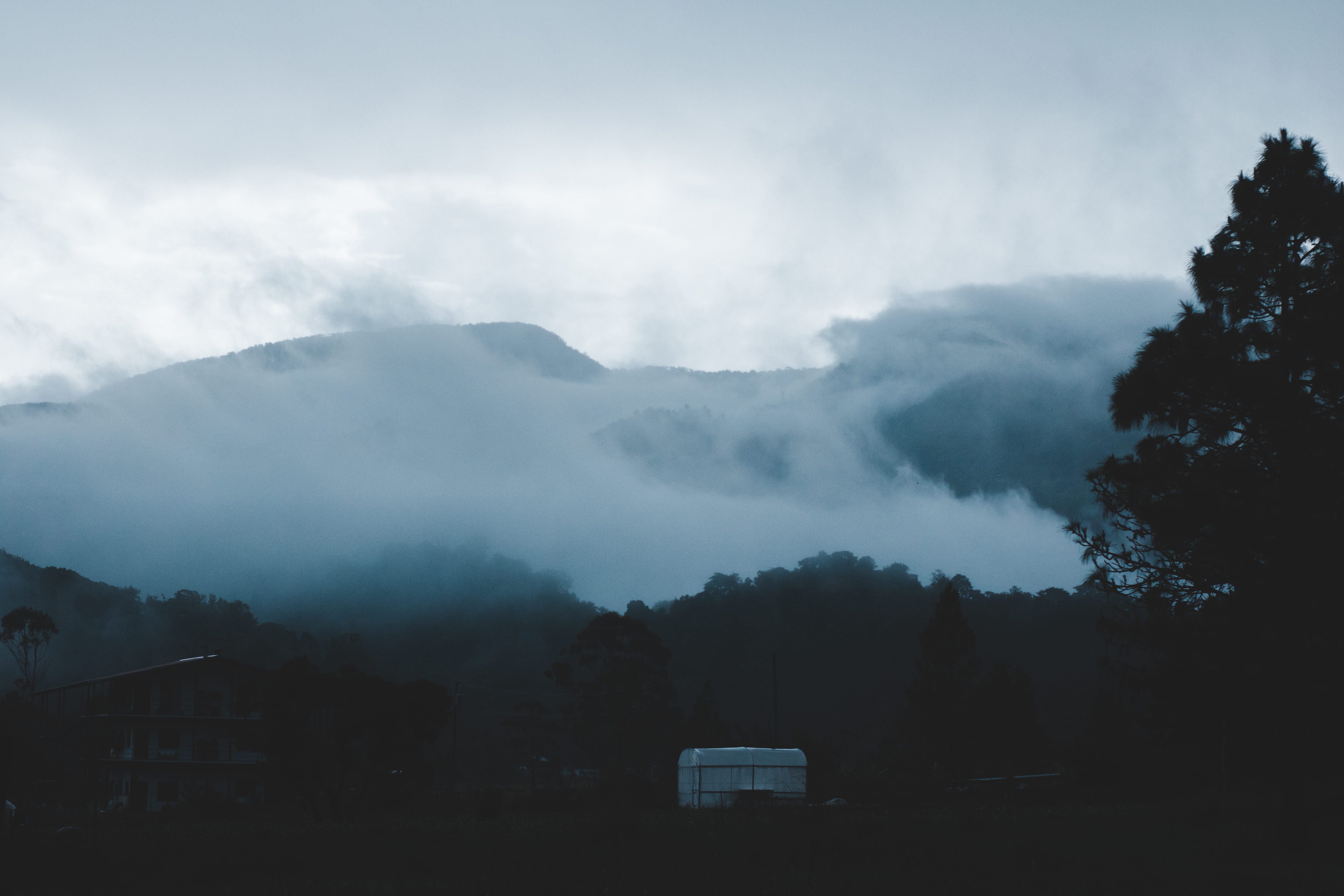cloudy, land, explore, cold, tundra, late, non-urban scene, tree, landscape, dark, cloud - sky, daytime, scenics - nature, outdoors, travel, smoke, trip, HD Wallpaper