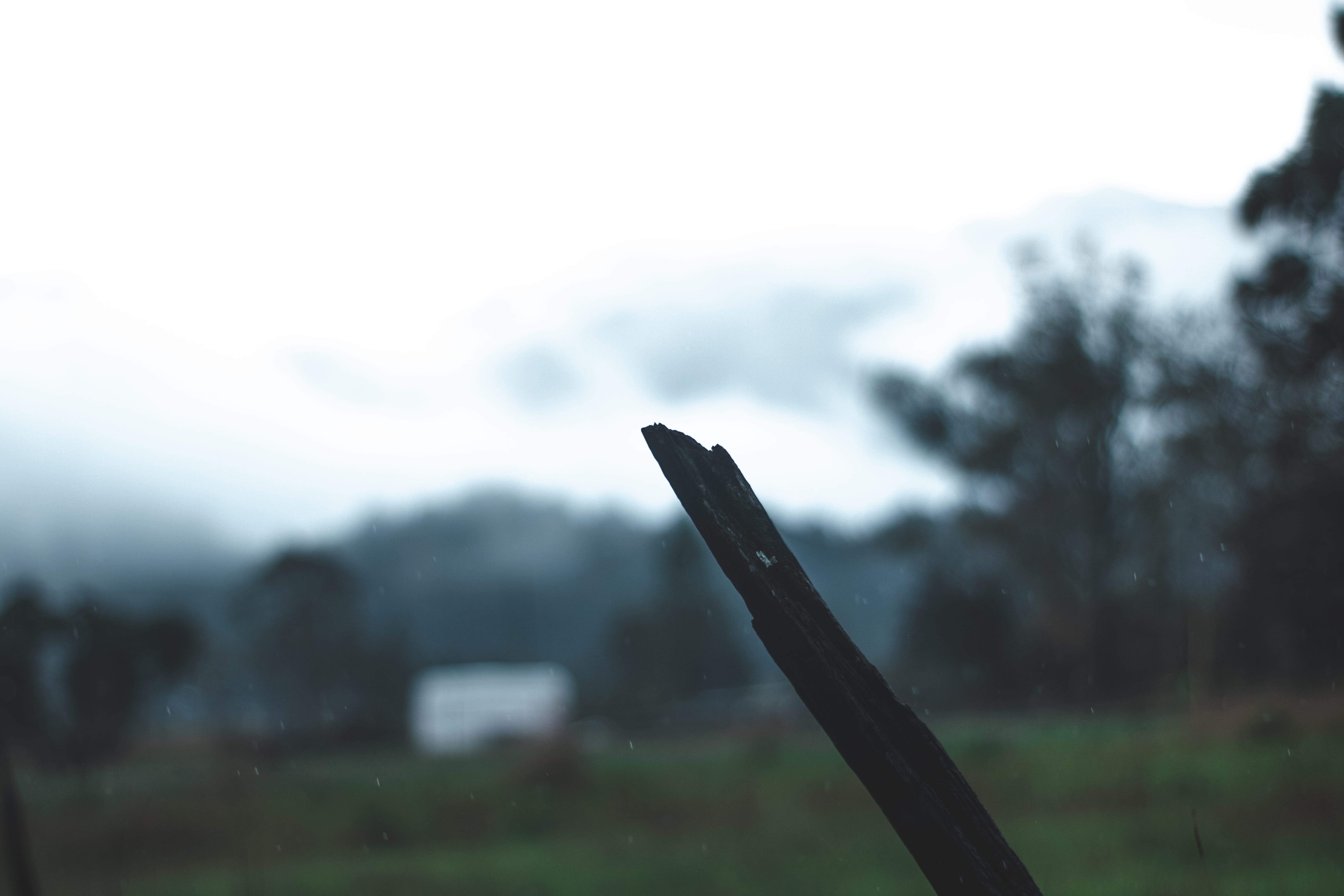 water, plant, landscape, mountain, blue, green, rough, wet, fog, land, 5K, mist, outdoors, scenics - nature, explore, environment, snowing, focus on foreground, HD Wallpaper