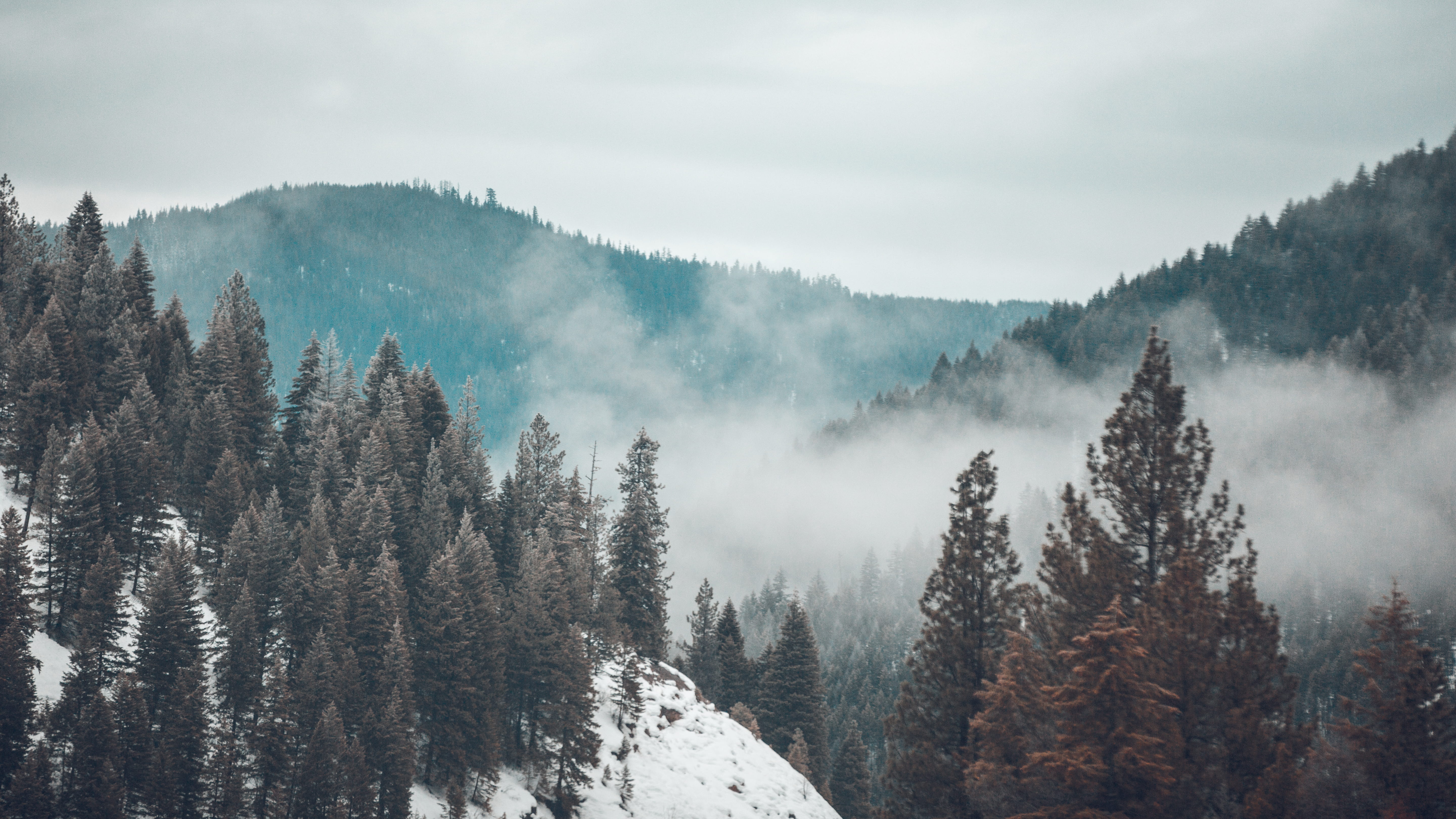 5K, montana, moody, clouds, winter, woodland, tranquil scene, cold, pine woodland, hill, beauty in nature, surround, landscape, outdoors, scenics - nature, HD Wallpaper