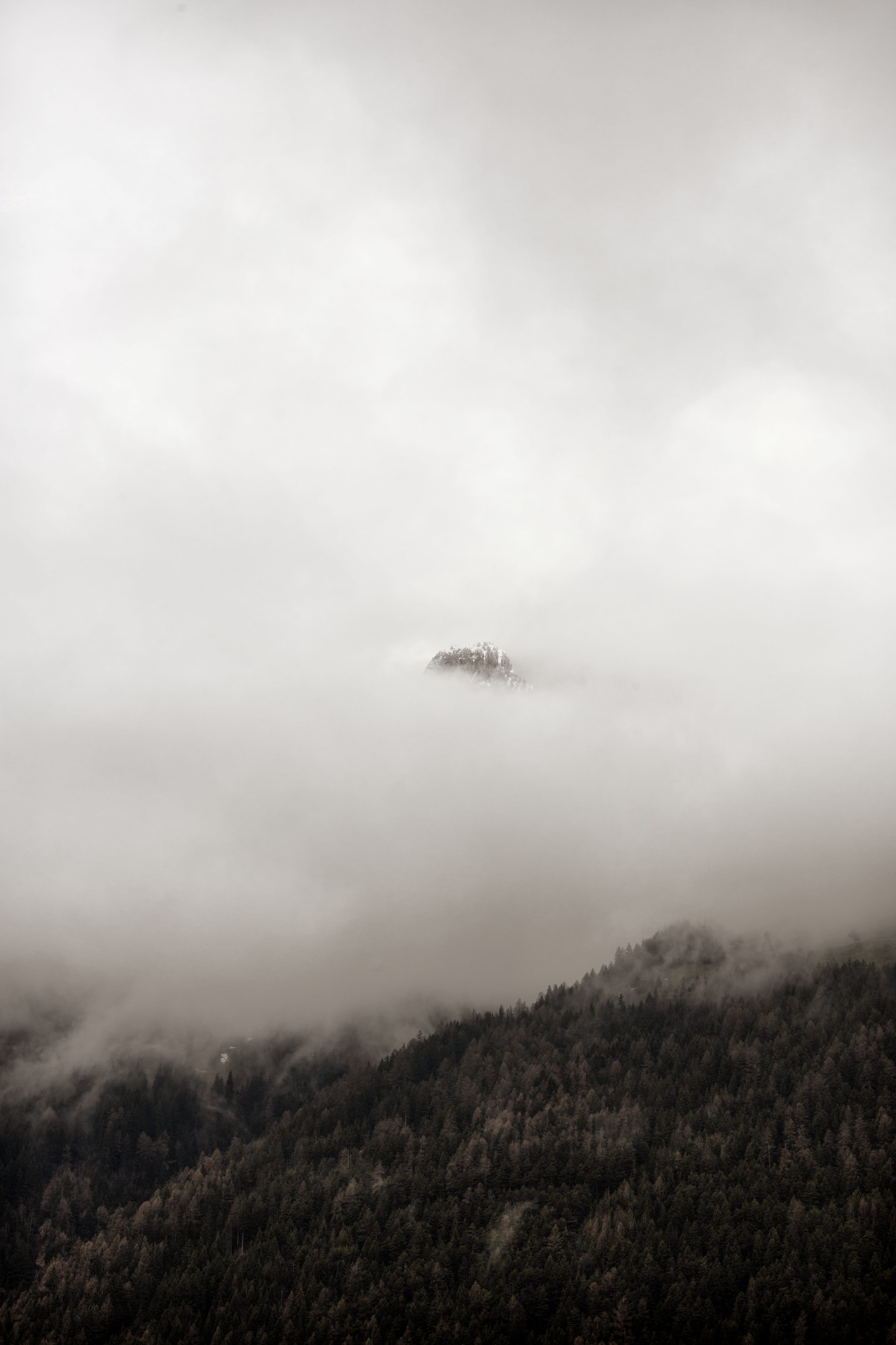 nature, mountain, plant, no people, land, peak, environment, cloud, beauty in nature, foggy, monochrome, outdoors, rock, mountain peak, mist, Phone HD Wallpaper