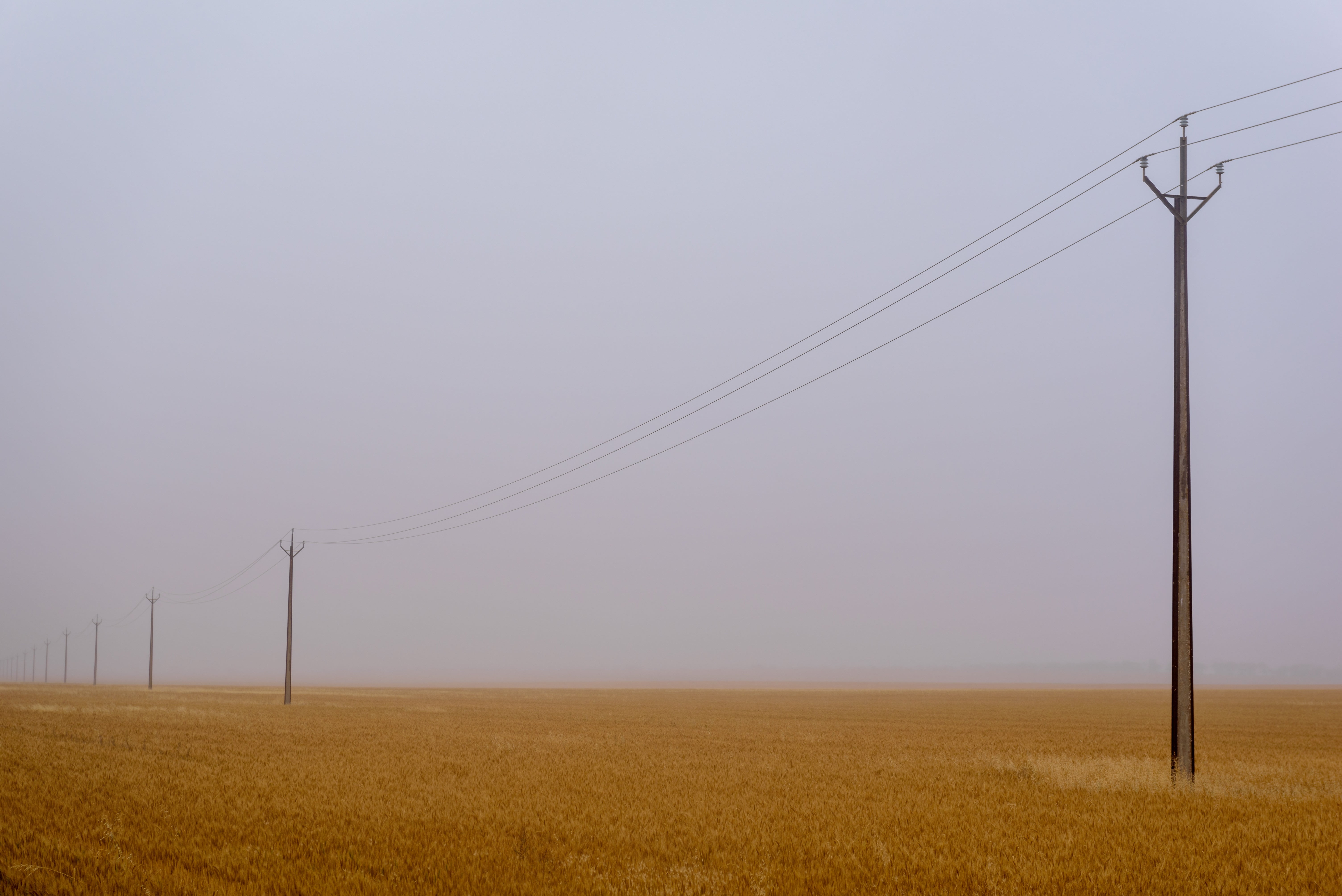 field, powerlines, Australia, 5K, sad, nature, landscape, mist, wire, farm, HD Wallpaper