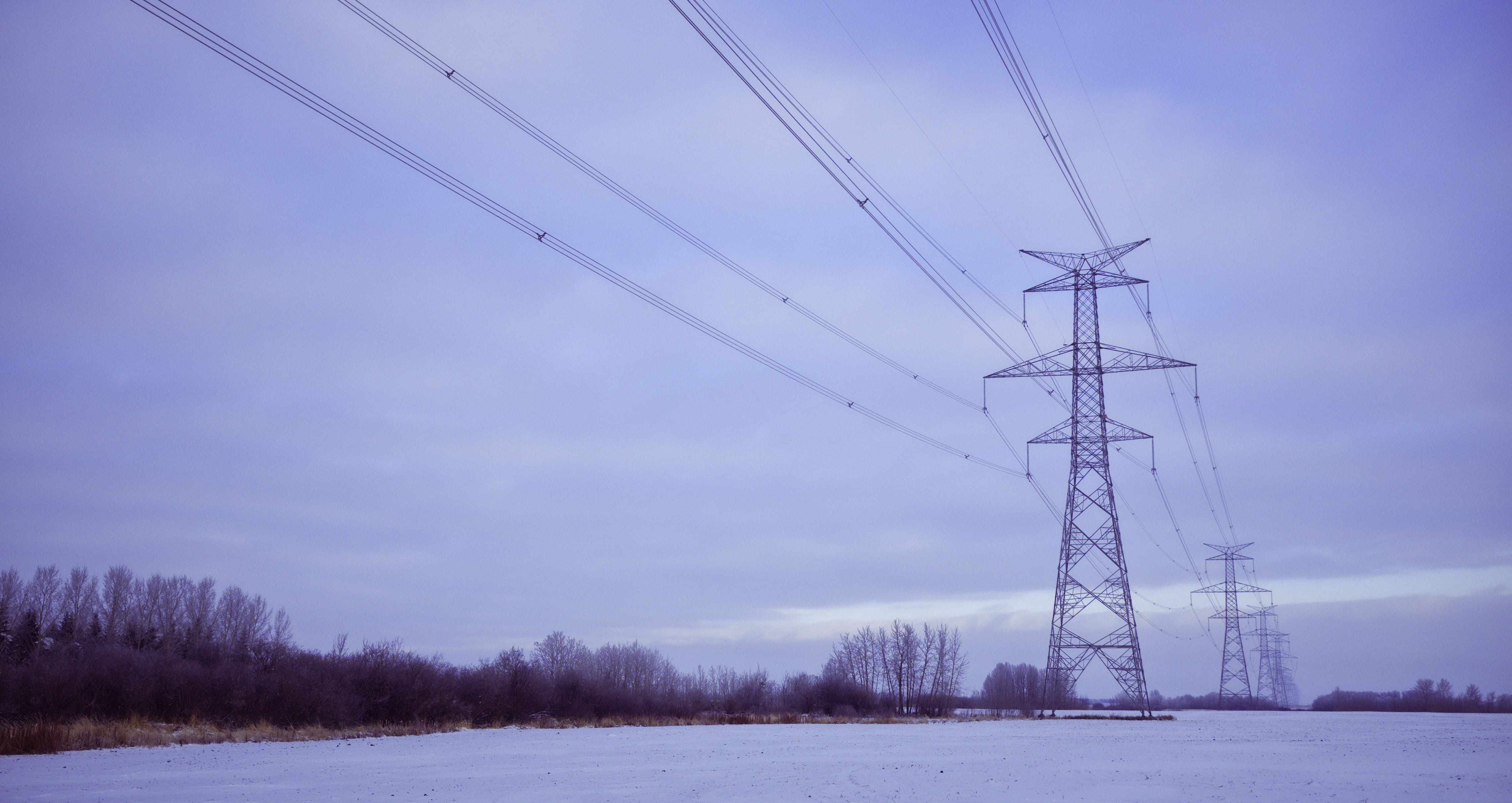 canada, environment, sky, electric, cold temperature, scenics - nature, 4K, cable, engineering, farm, technology, snow, tree, utilities, northwest edmonton, HD Wallpaper