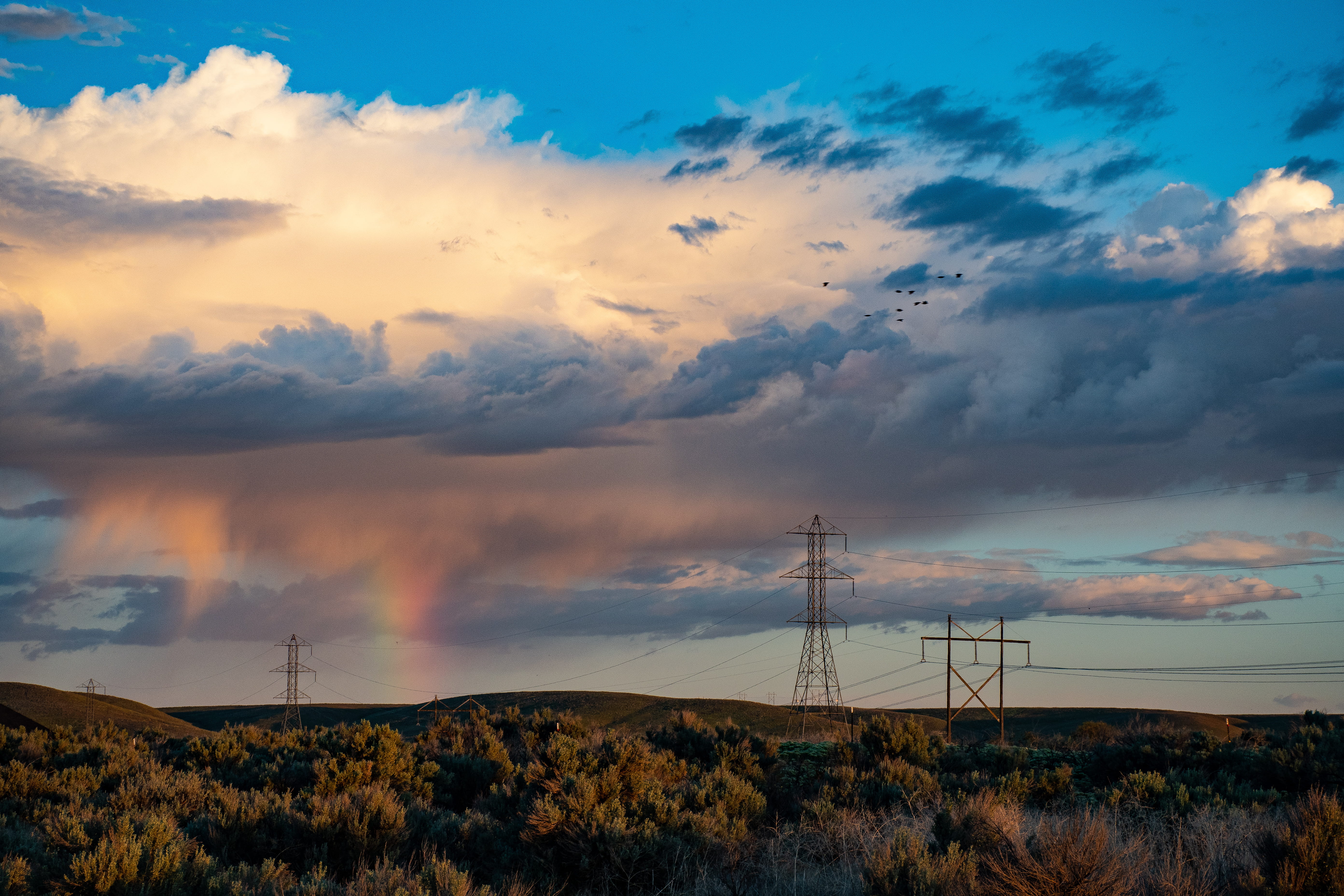 5K, cloudy, scenics - nature, trees, energy, electricity pylon, electricity, travel, beauty in nature, green, silhouette, clouds, outdoors, daylight, cloud - sky, HD Wallpaper