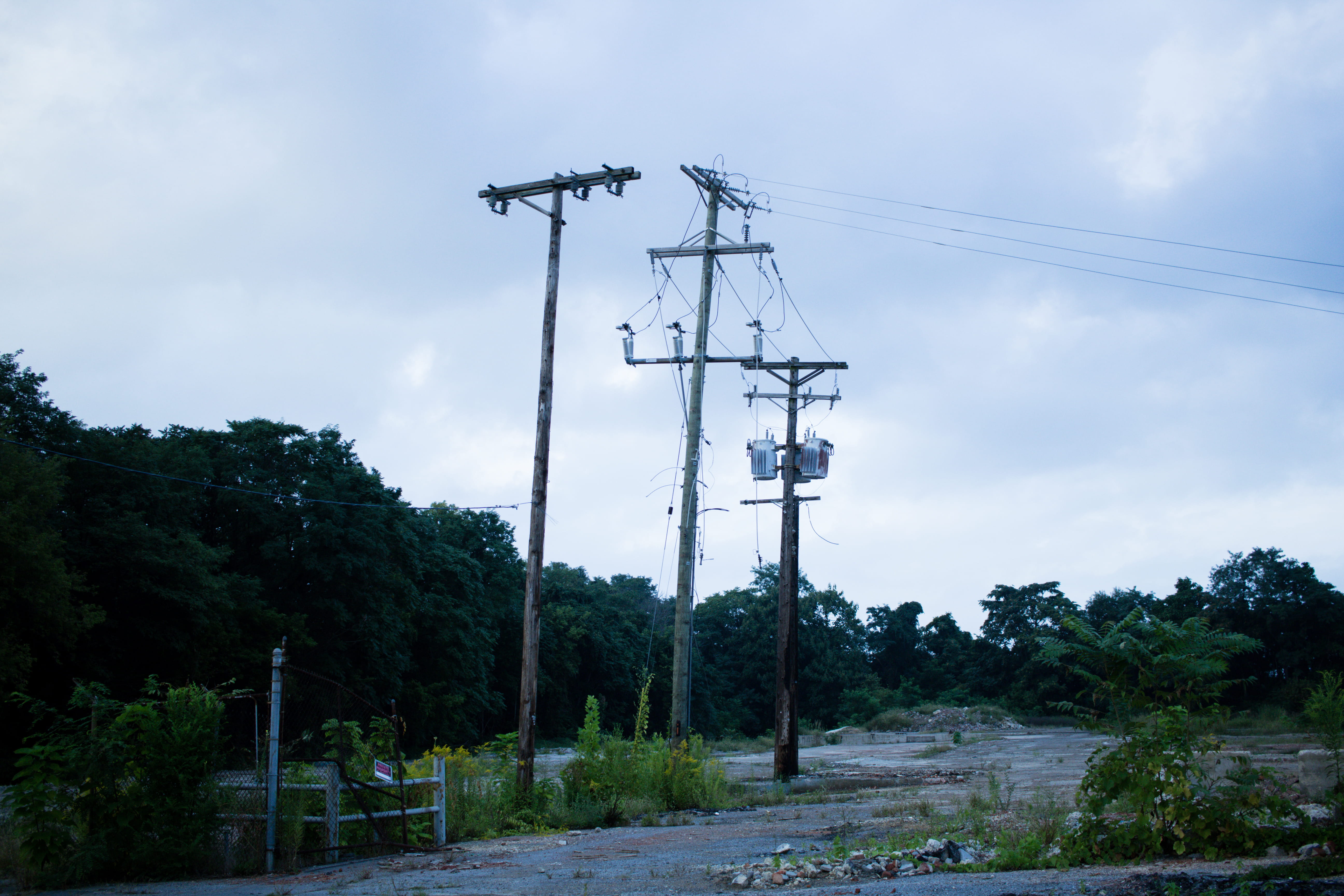 telephone line, plant, fuel and power generation, exploration, power, nature, abandoned, urban, power supply, low angle view, 5K, electricity, urban exploration, HD Wallpaper