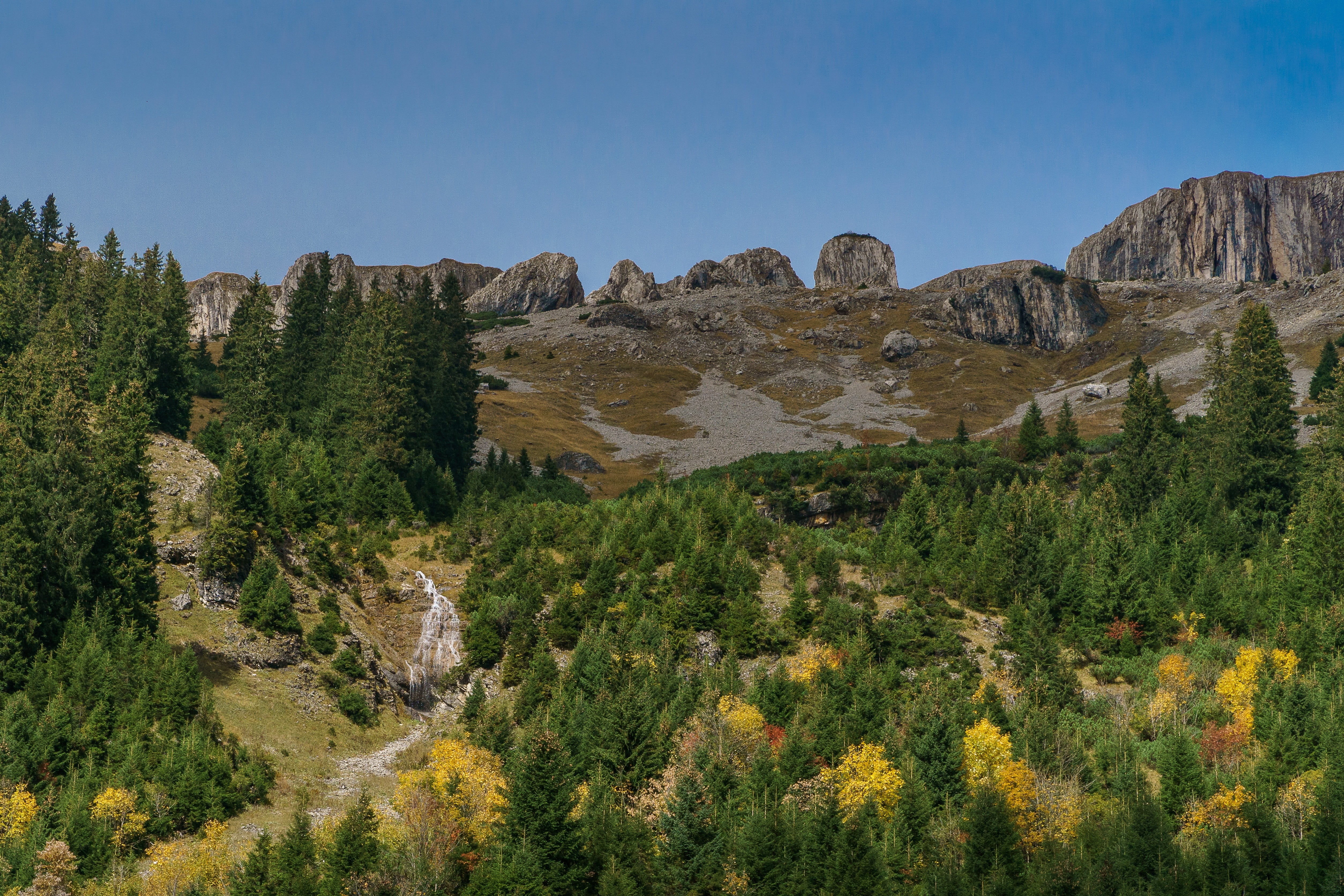 green, ifen, pine tree, trees, solid, mountain, outdoors, forest, alpine, schwarzwassertal, tree, nature, mountain summit, semi-arid, austria, tranquil scene, HD Wallpaper