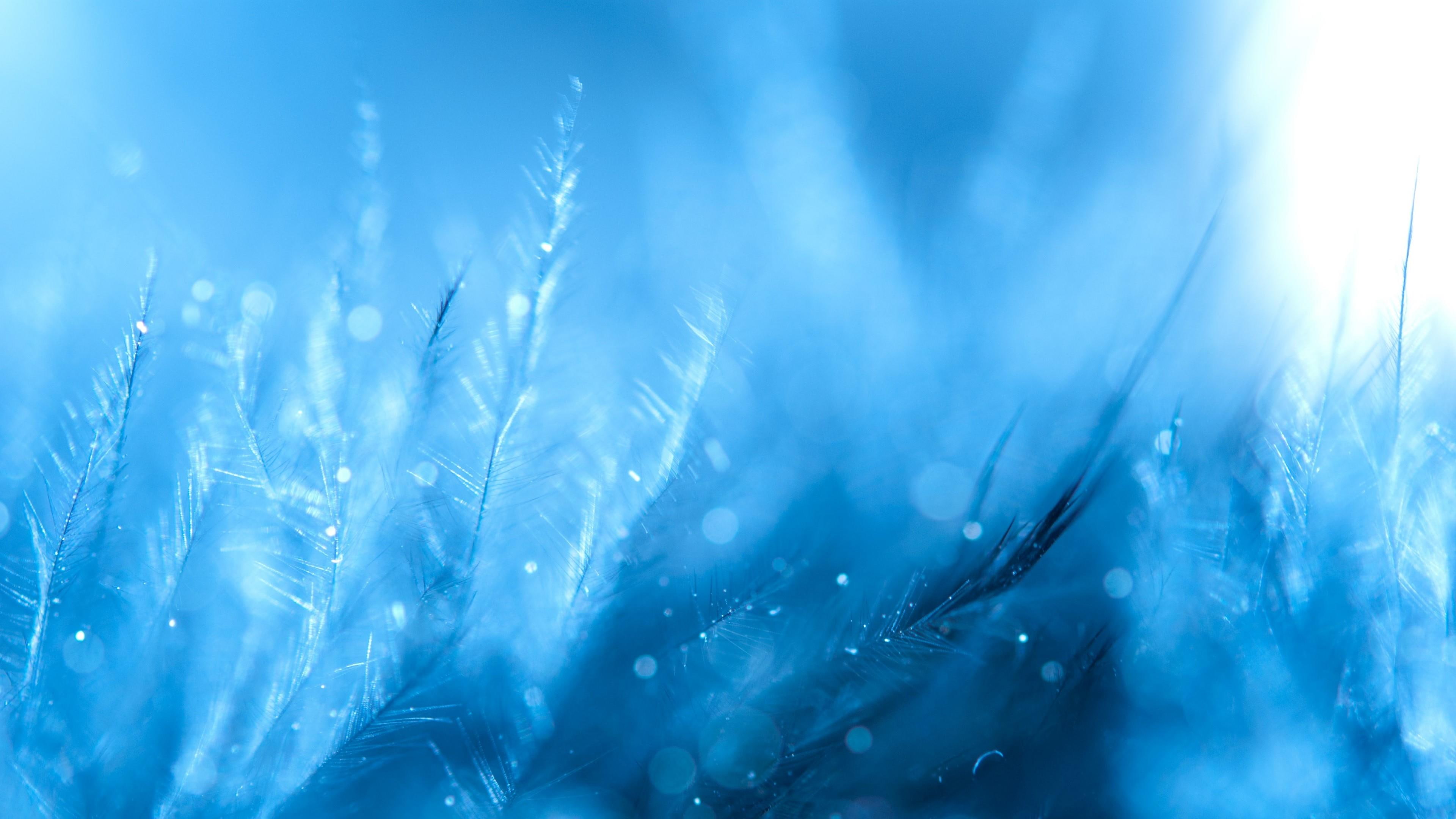 light, 4K, cool, ripple, feather, HD Wallpaper