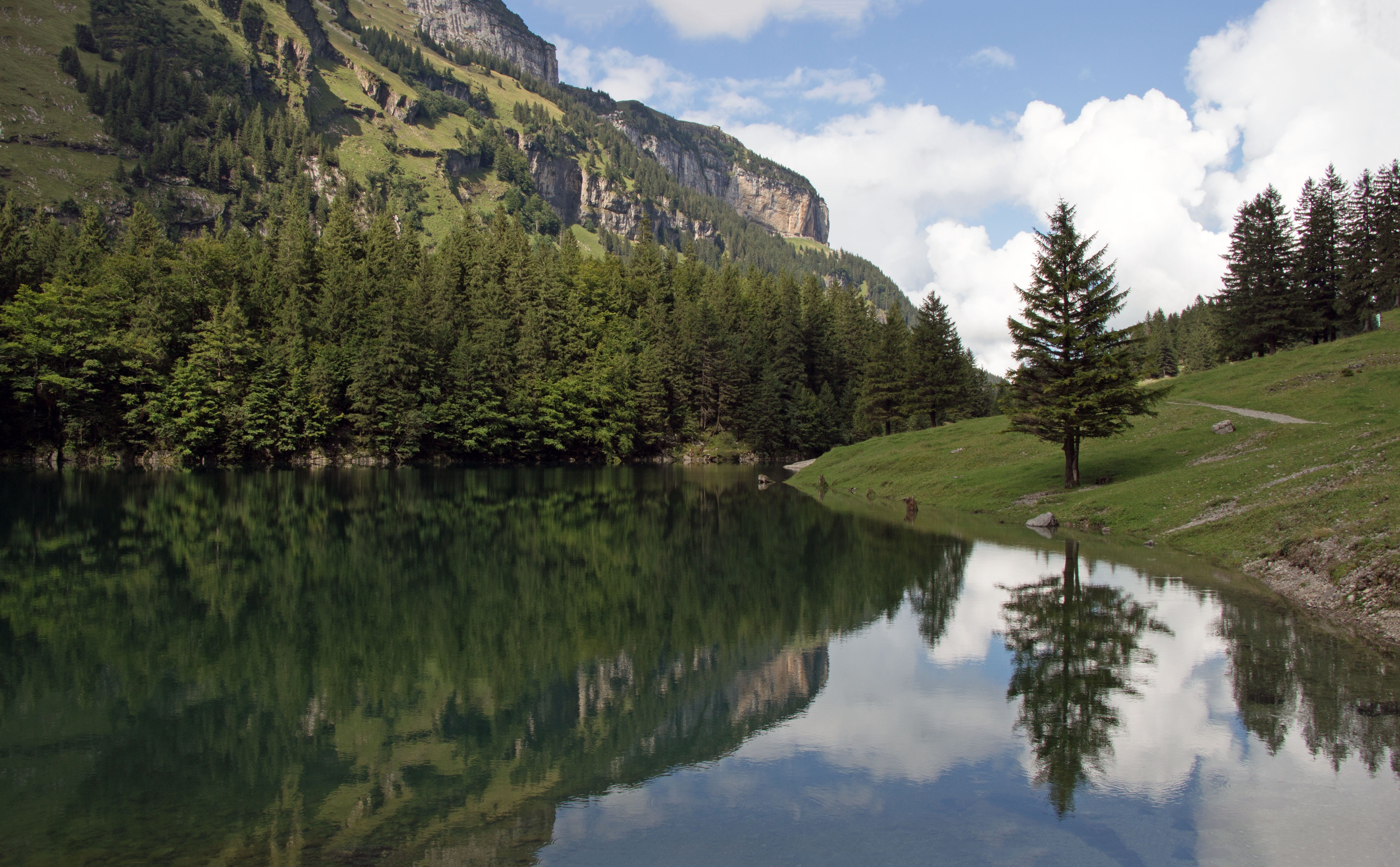 lake, coniferous tree, cloud - sky, plant, reflection, outdoors, water, tranquility, pine woodland, mountains, mirroring, tranquil scene, growth, hiking tour, HD Wallpaper