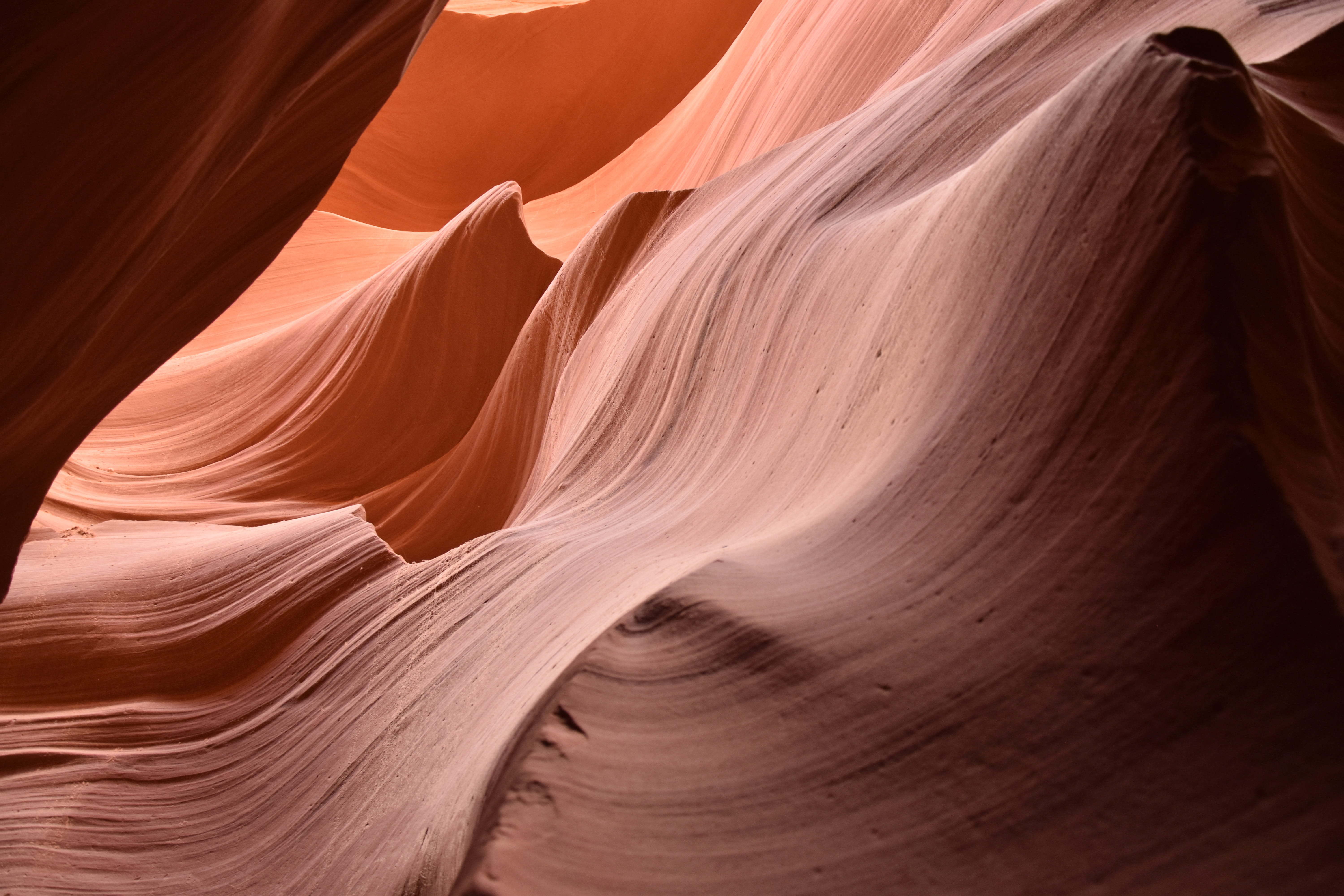 wind, usa, beauty in nature, sandstone, nature, rock, solid, scenics - nature, eroded, 5K, canyon, no people, desert, layered, climate, geology, tranquility, HD Wallpaper
