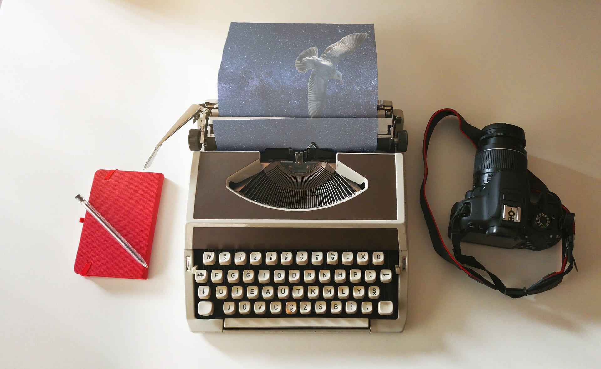 book, still life, story, retro, dslr, obsolete, creativity, journal, print, universe, publish, table, word, document, nostalgia, paper, literature, bird, HD Wallpaper