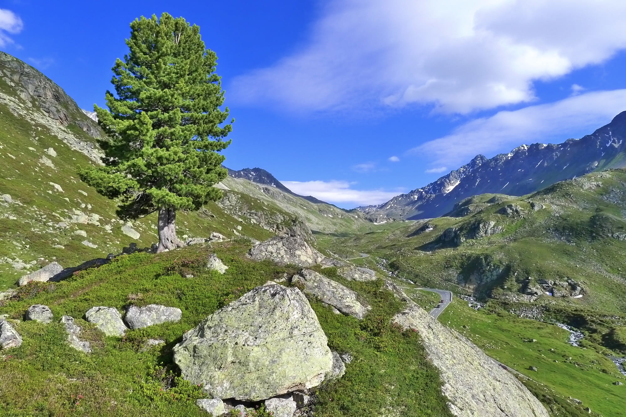 hiking, rock - Object, meadow, graubünden, cloud - sky, panoramic, Mountains, coniferous tree, mountain Range, forest border, valley, land, tranquil scene, HD Wallpaper