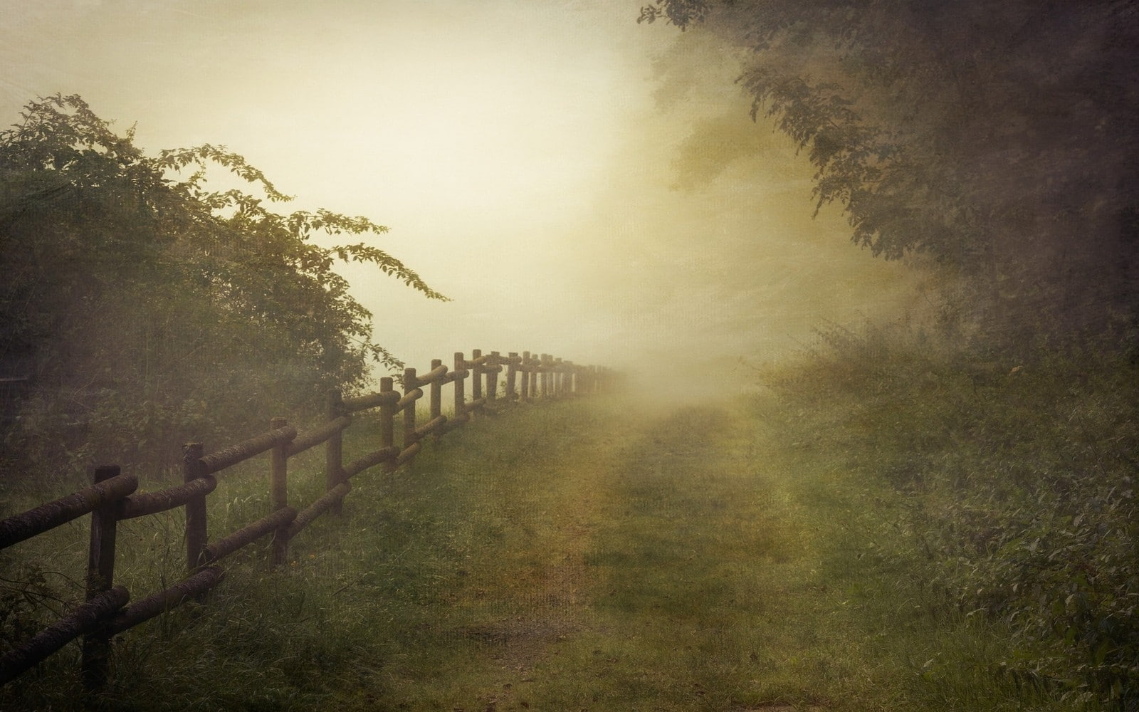 environment, Germany, fog, shrubs, plant, land, outdoors, 720P, barrier, nature, tranquil scene, mist, grass, no people, direction, rural scene, fence, HD Wallpaper