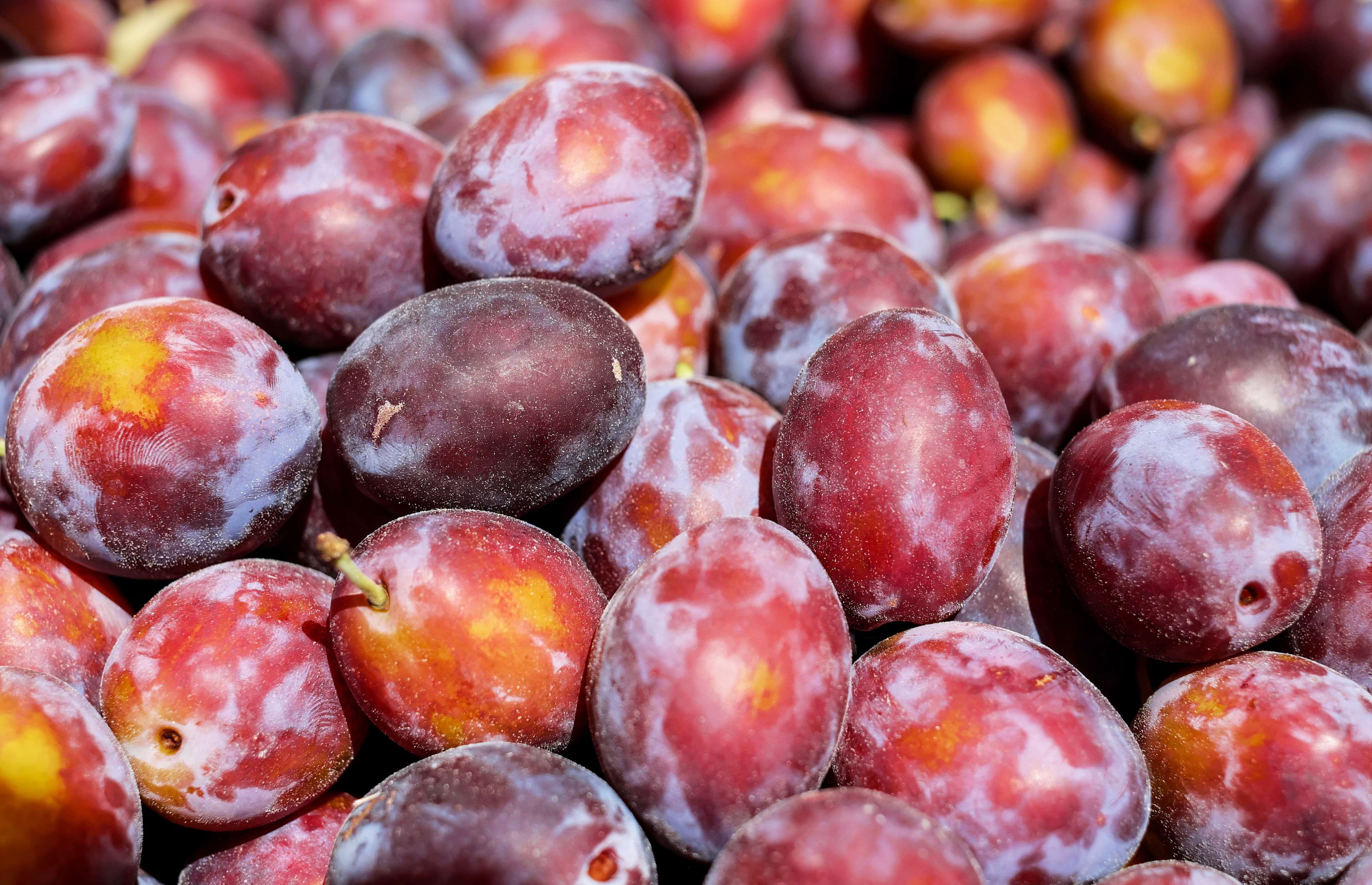 day, ripe, close-up, plum, market, juicy, freshness, healthy eating, abundance, no people, food, still life, harvest, backgrounds, fruits, wellbeing, 4K, HD Wallpaper