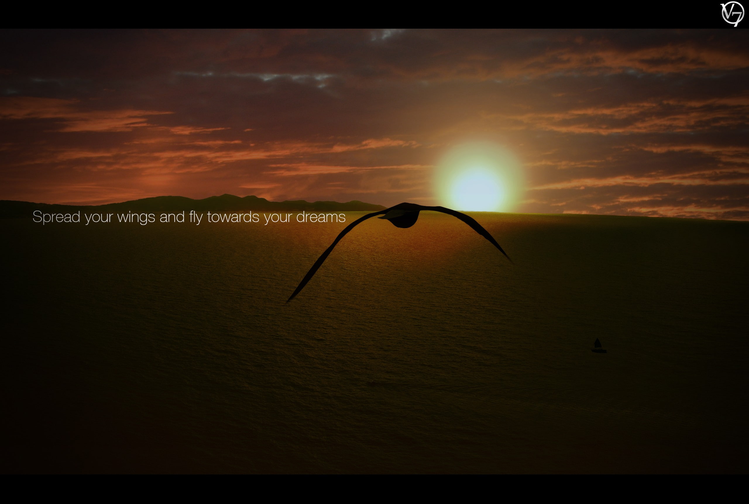 flying, animals, beauty in nature, transfer print, Fly, orange color, silhouette, sunset, auto post production filter, water, tranquil scene, sunbeam, sea, HD Wallpaper