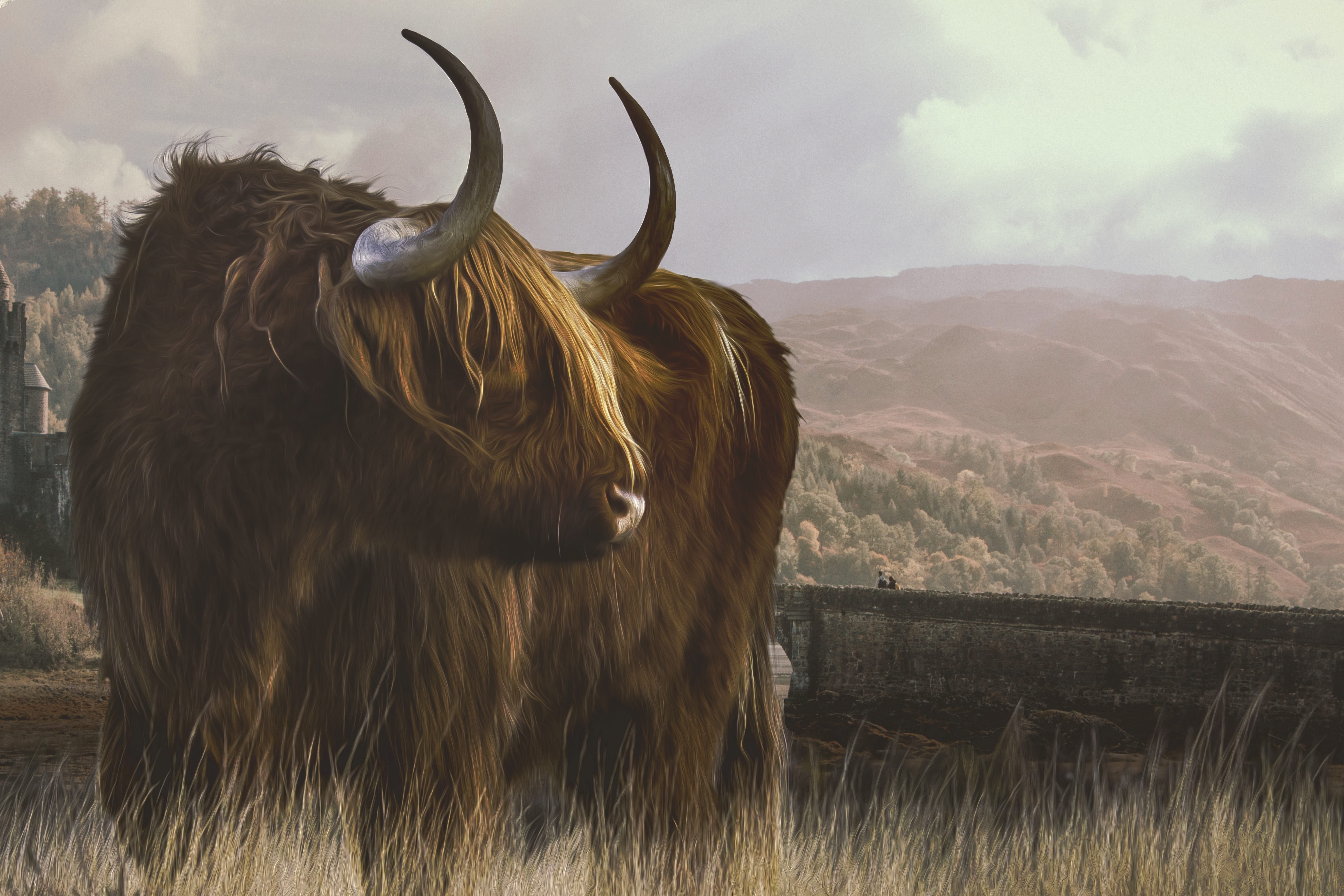 animal hair, pets, horns, livestock, animal, image editing, scotland, domestic, animal wildlife, one animal, cattle, 5K, land, highland beef, cloud - sky, HD Wallpaper