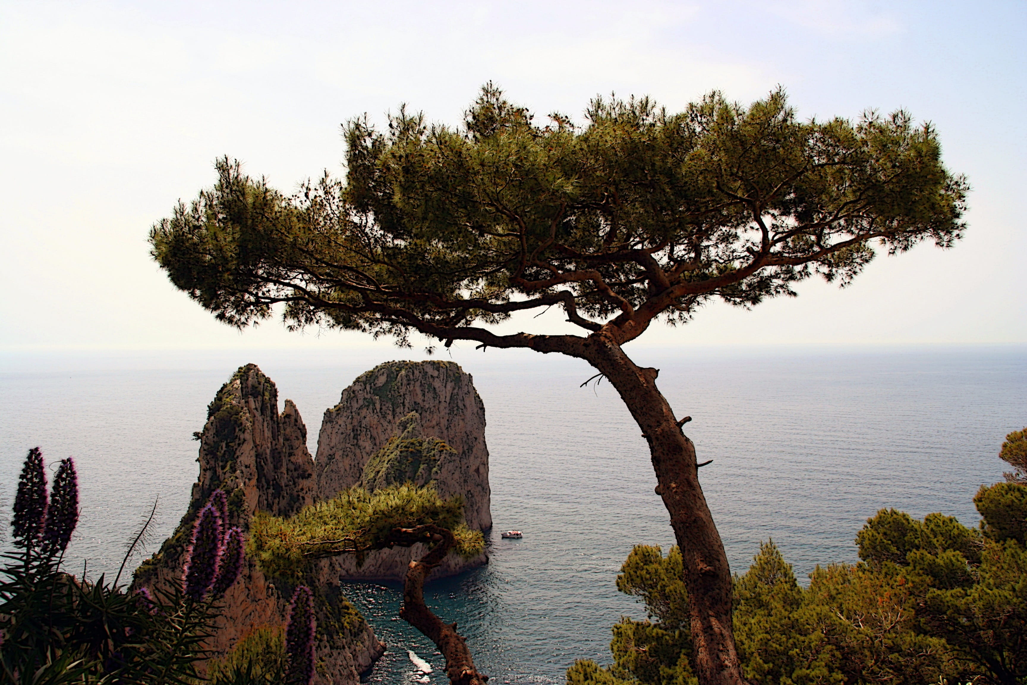 scenics, sea, horizon, landscape, no people, mediterranean, outdoors, beauty in nature, Water, sky, beach, day, horizon over water, body, cliff, tranquility, HD Wallpaper
