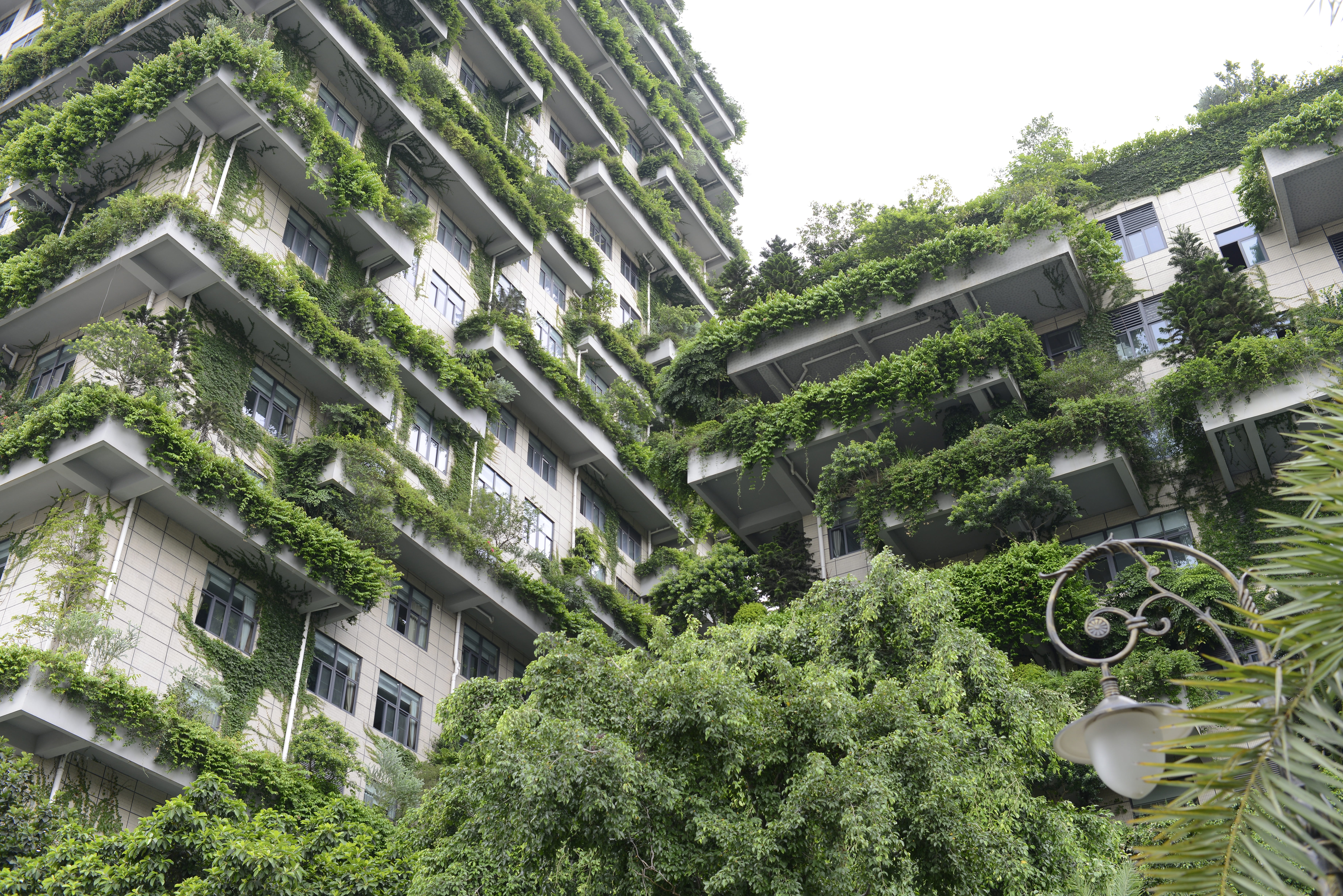 no people, built structure, house, roof, plant, building exterior, nature, concrete, green, tree, sky, green color, 5K, low angle, city, window, building, HD Wallpaper