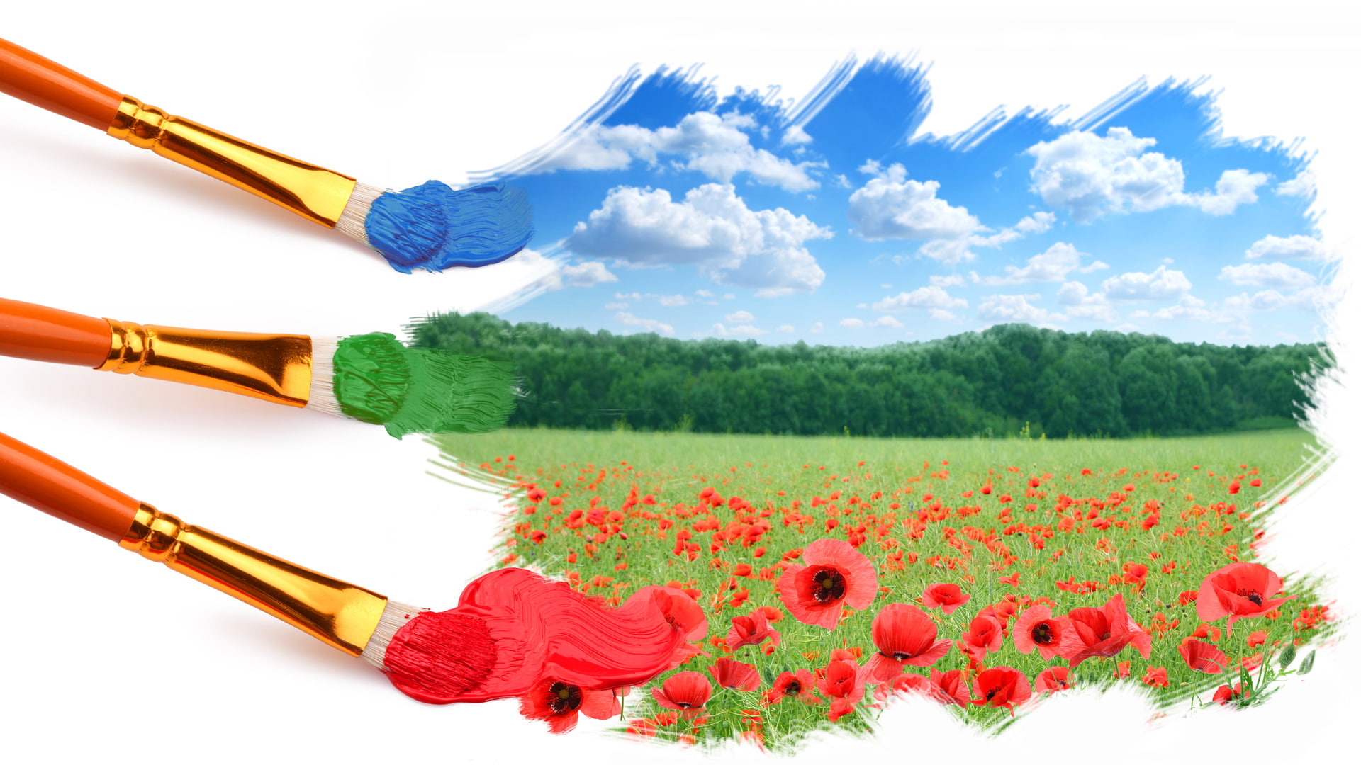painting, painters, landscape, poppies, photo manipulation, sky, 1080P, digital art, forest, field, brush, clouds, HD Wallpaper