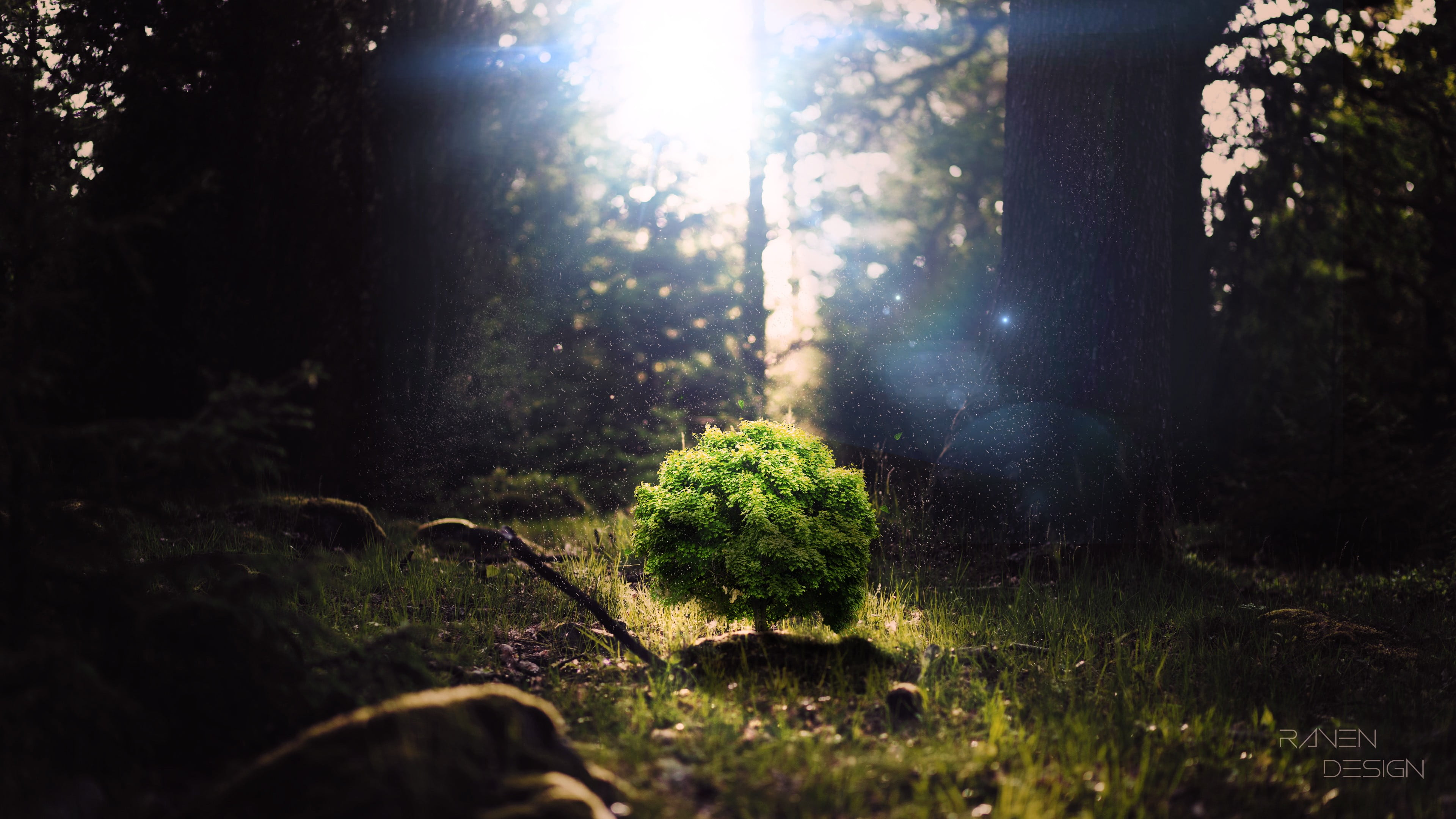 leafed, forest, tree trunk, lens flare, green, tranquility, photo manipulation, plants, land, outdoors, selective focus, plant, no people, sunlight, tranquil scene, HD Wallpaper