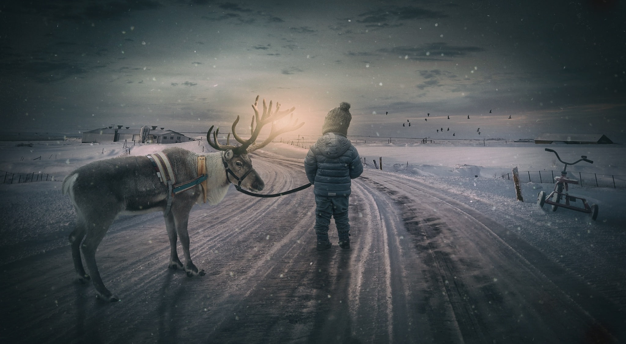 Reindeer, Photoshop, memories, 1080P, Landscape, Seasons, childhood, child, Road, Winter, Moose, photo manipulation, Snow, HD Wallpaper