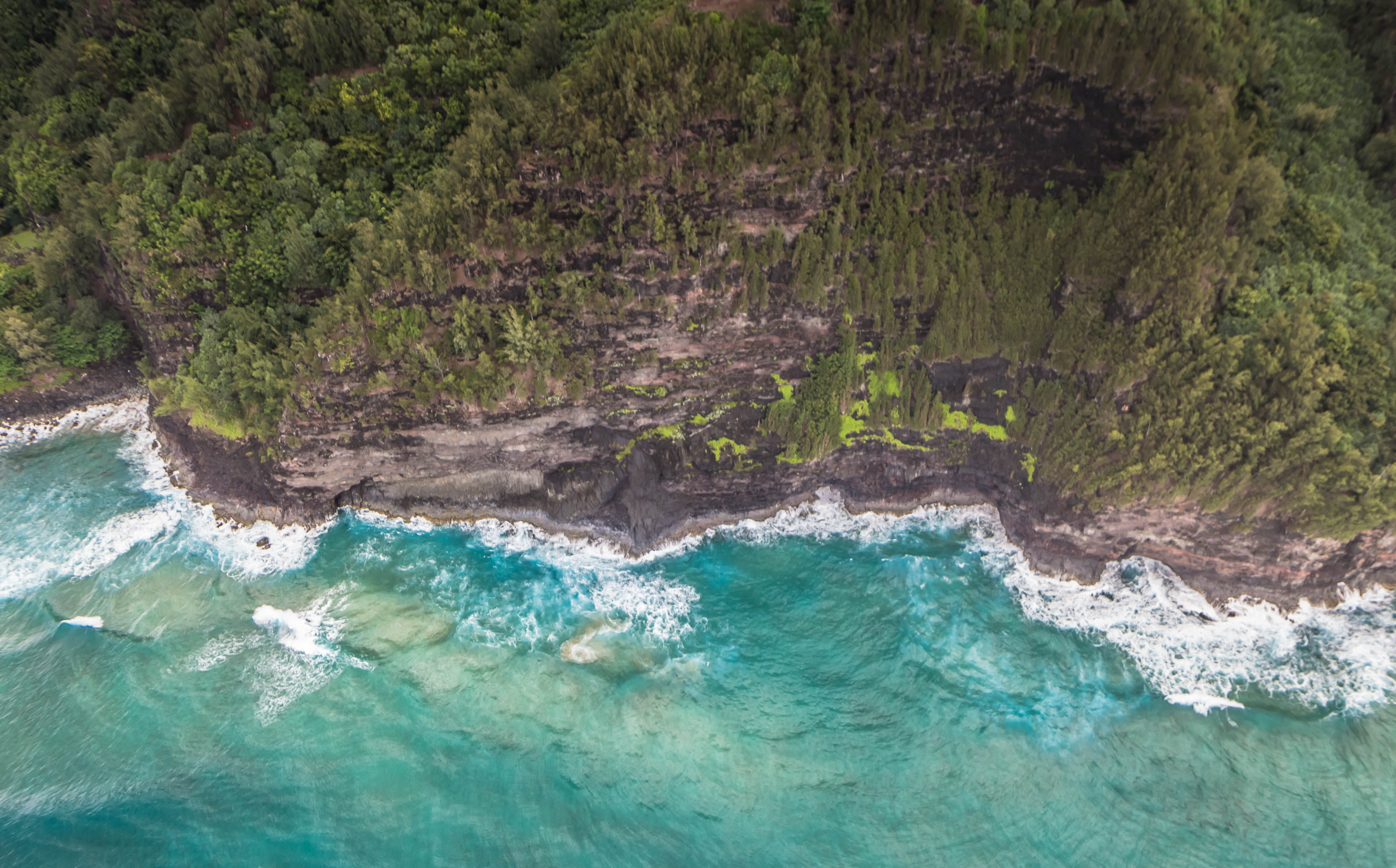 motion, green color, napali coast, non-urban scene, tranquility, scenics - nature, outdoors, water, wave, day, plant, hawaii, 5K, beauty in nature, sport, HD Wallpaper
