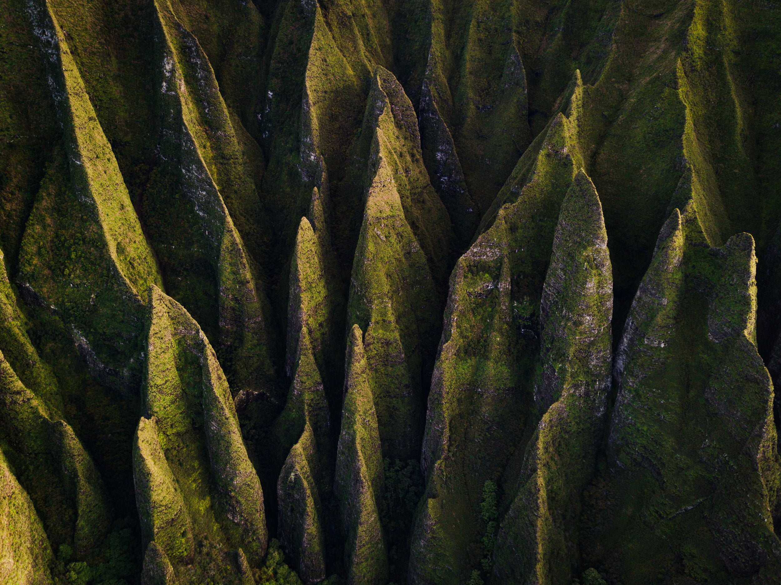 moss, Napali, aerial, 1080P, rocks, drone photo, landscape, USA, HD Wallpaper
