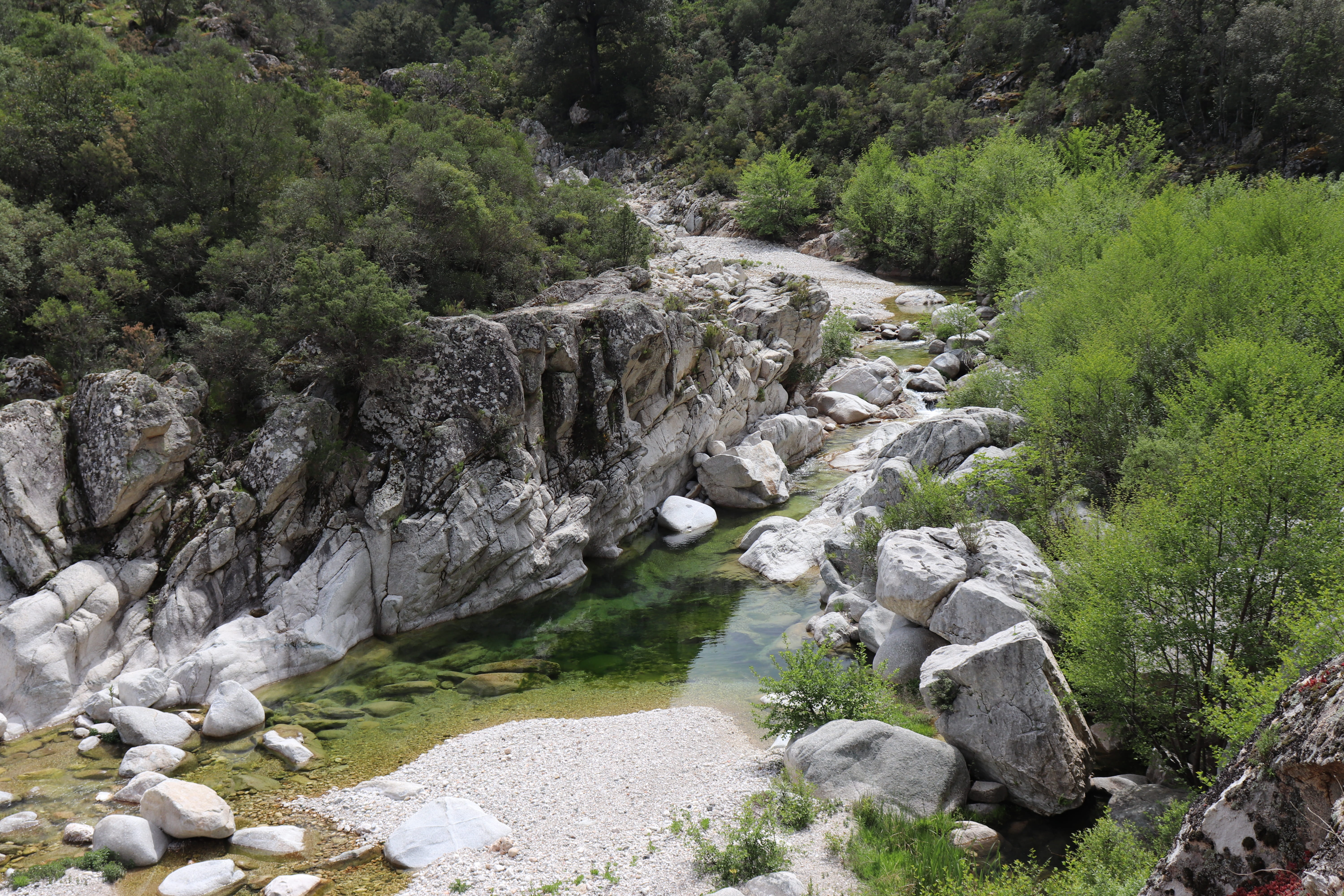 no people, solid, forest, river, beauty, day, tree, nature, 5K, flowing water, scenics - nature, rocks, green, rock - object, tranquil scene, stream - flowing water, HD Wallpaper