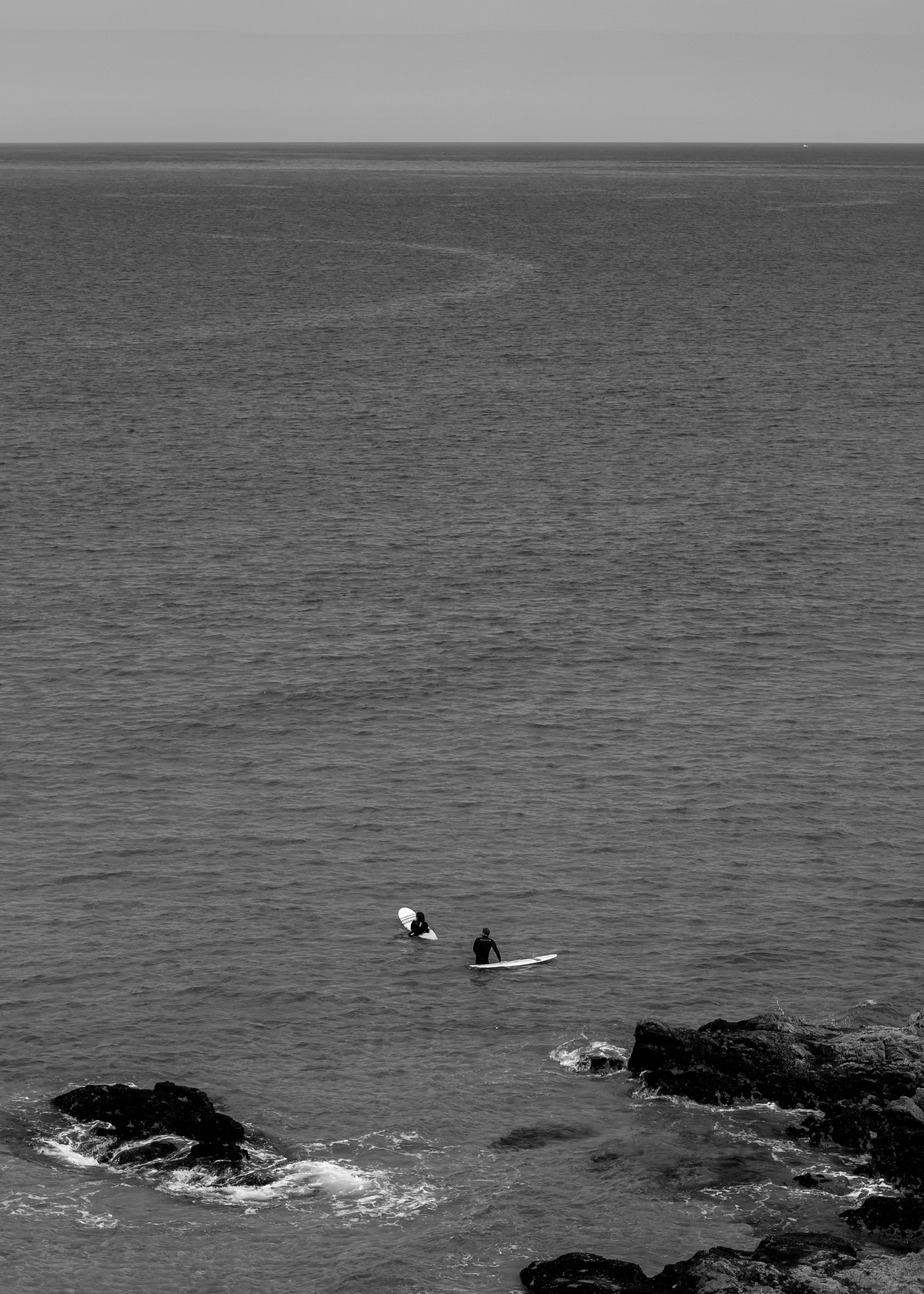 waterfront, no people, day, surf, surfing, animal themes, united kingdom, horizon, sea, animals in the wild, nature, scenics - nature, animal, horizon over water, Phone HD Wallpaper