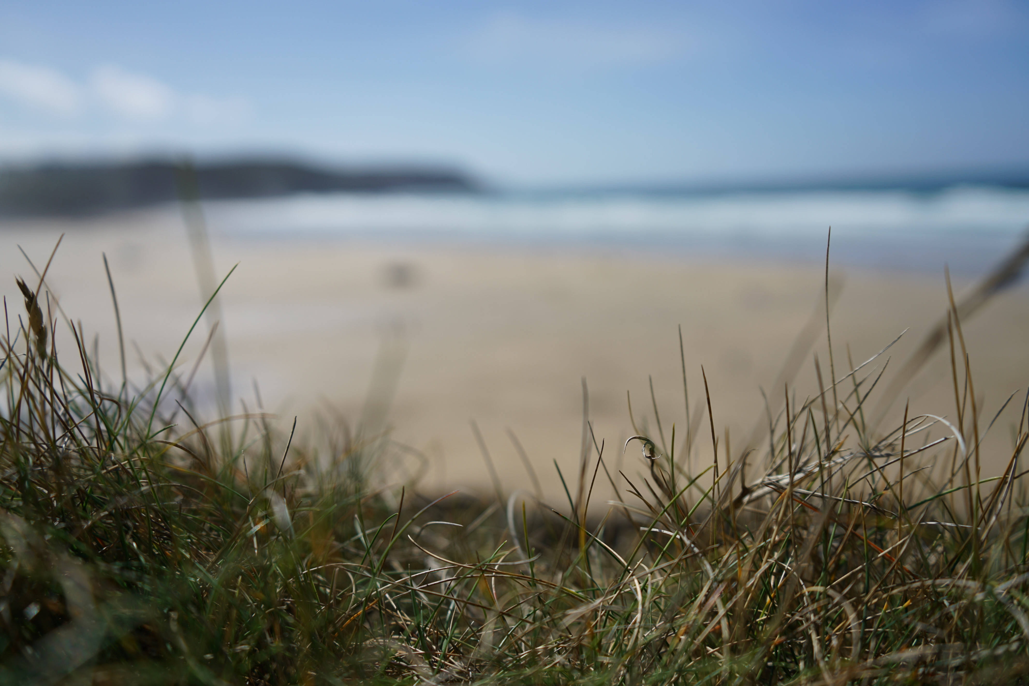 sky, tranquil scene, beauty in nature, land, earth, perranporth, growth, marram grass, water, perspective, nature, focus, plant, horizon, tranquility, mountain, HD Wallpaper