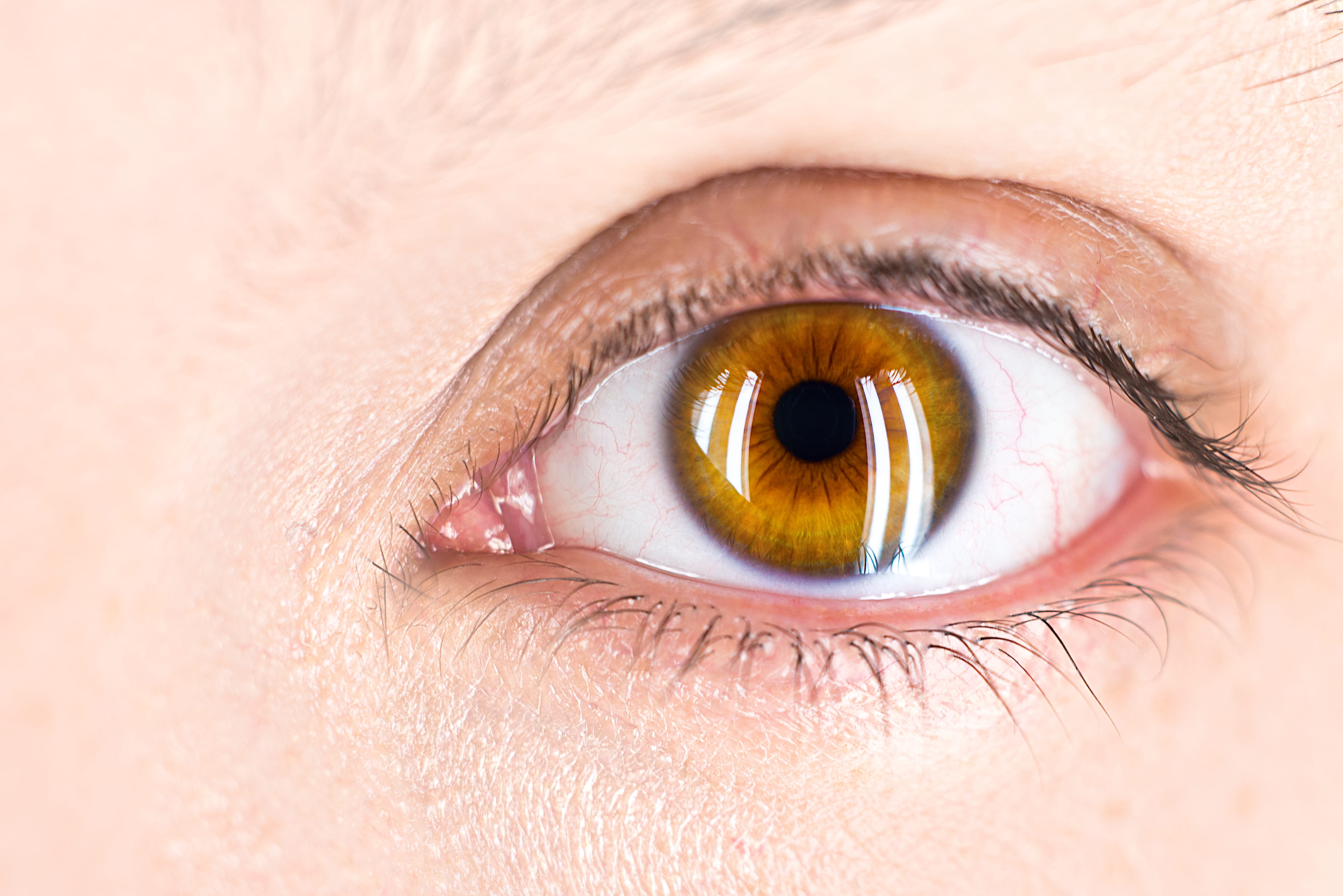 eyesight, iris - eye, eyeball, adult, focus on the eye, body part, close-up, sensory perception, woman, beauty, people, catch light, focus, hazel eyes, HD Wallpaper