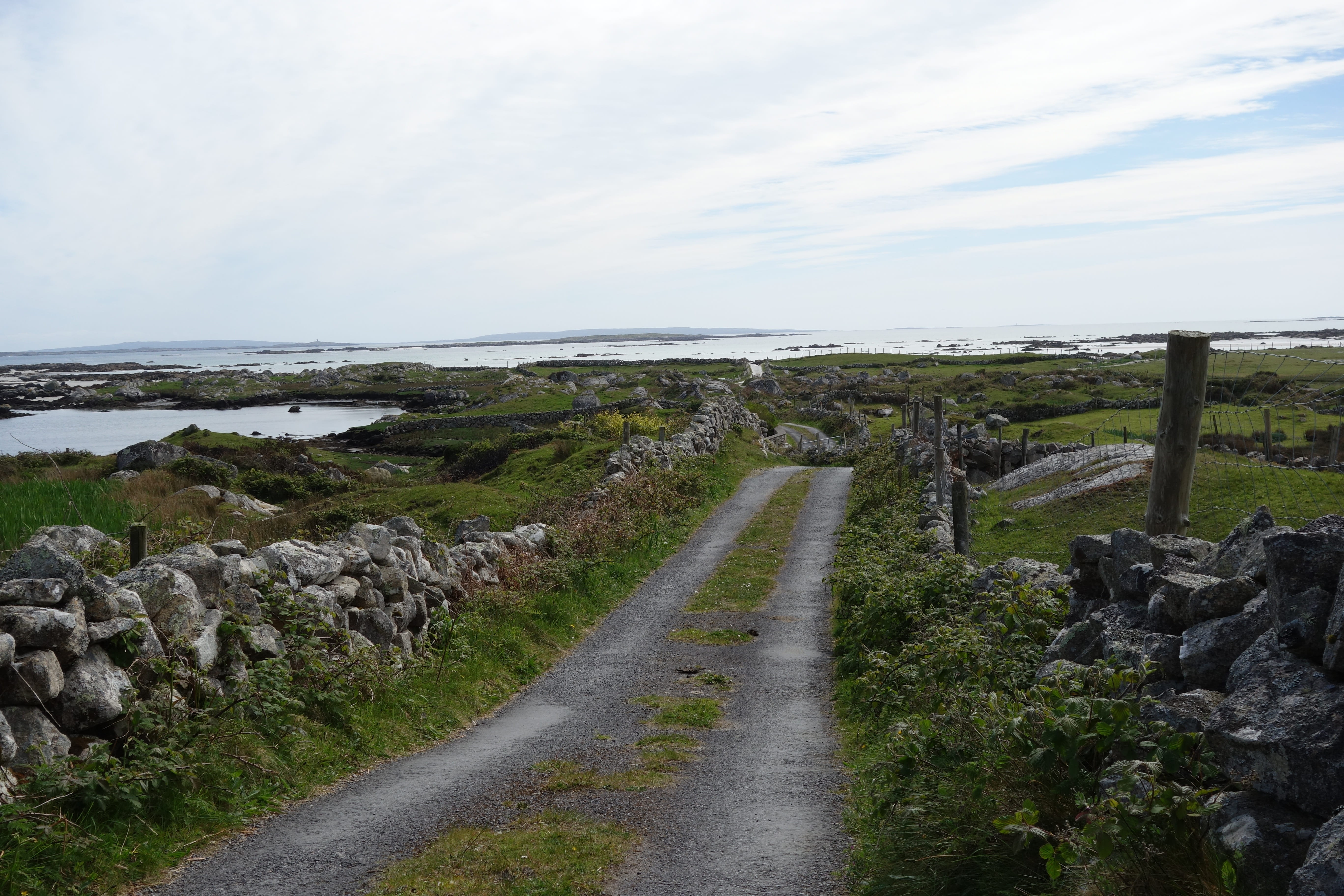 tranquil scene, scenics - nature, outdoors, only, rock - object, bay, water, rock, ireland, connemara, beauty in nature, nature, plant, land, grass, environment, HD Wallpaper