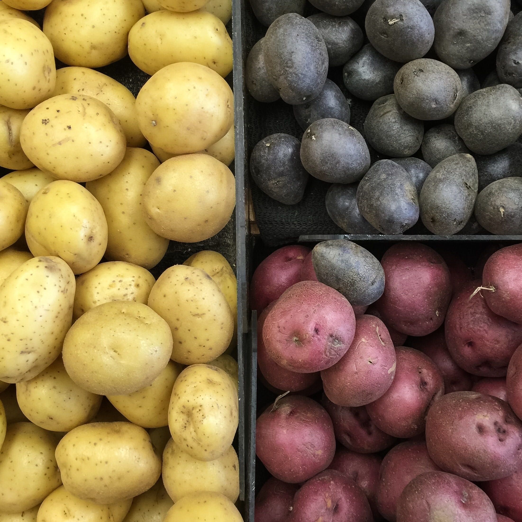 Vegetables, variation, for sale, freshness, large group of objects, fruit, Potato, healthy eating, abundance, retail, food and drink, wellbeing, vegetable, Phone HD Wallpaper