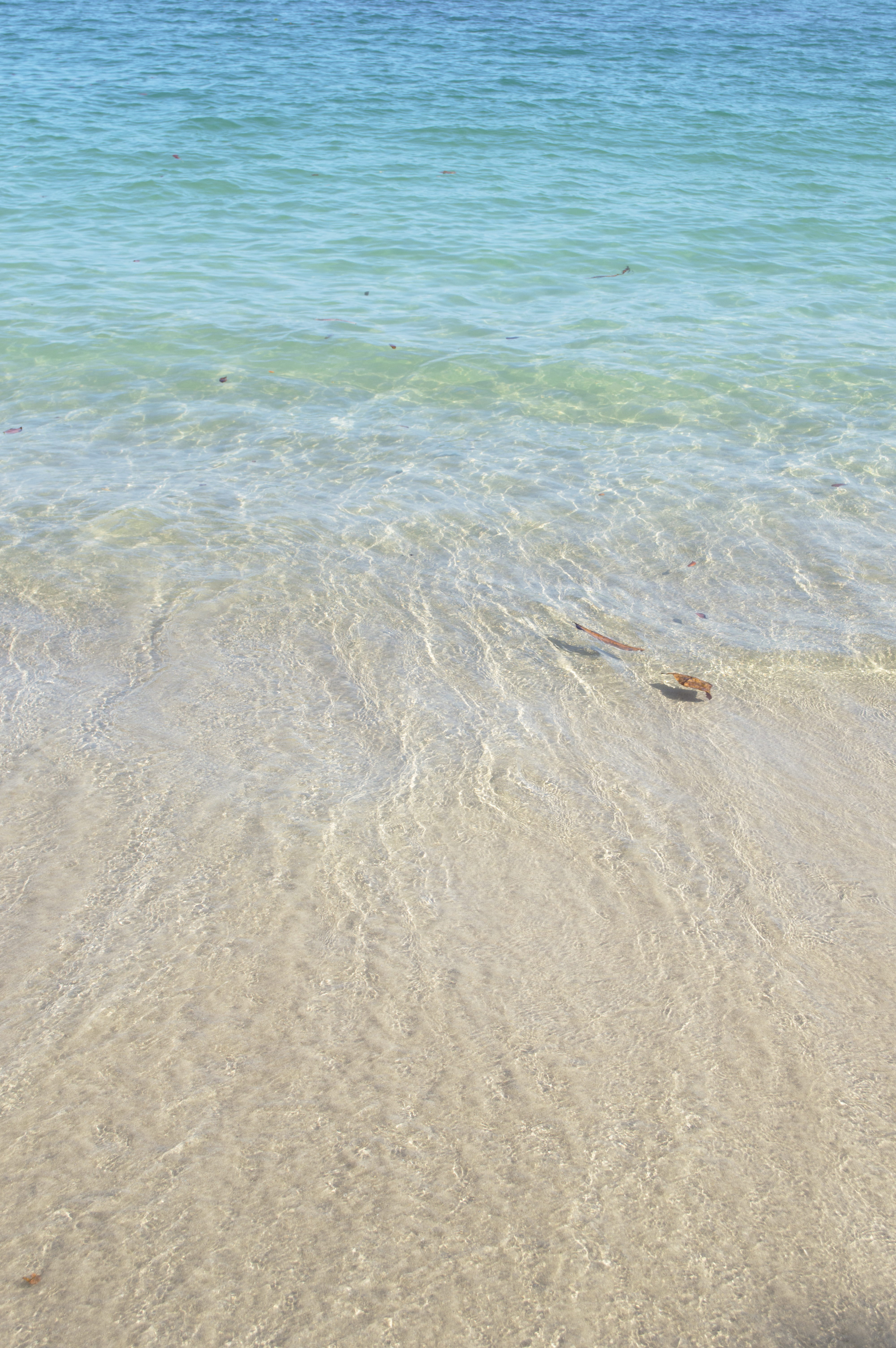 blue, quepos, float, green, beauty in nature, nature, tranquil scene, water, rippled, saltwater, non-urban scene, ocean, beach, wave, day, shoreline, manuel antonio beach, Phone HD Wallpaper