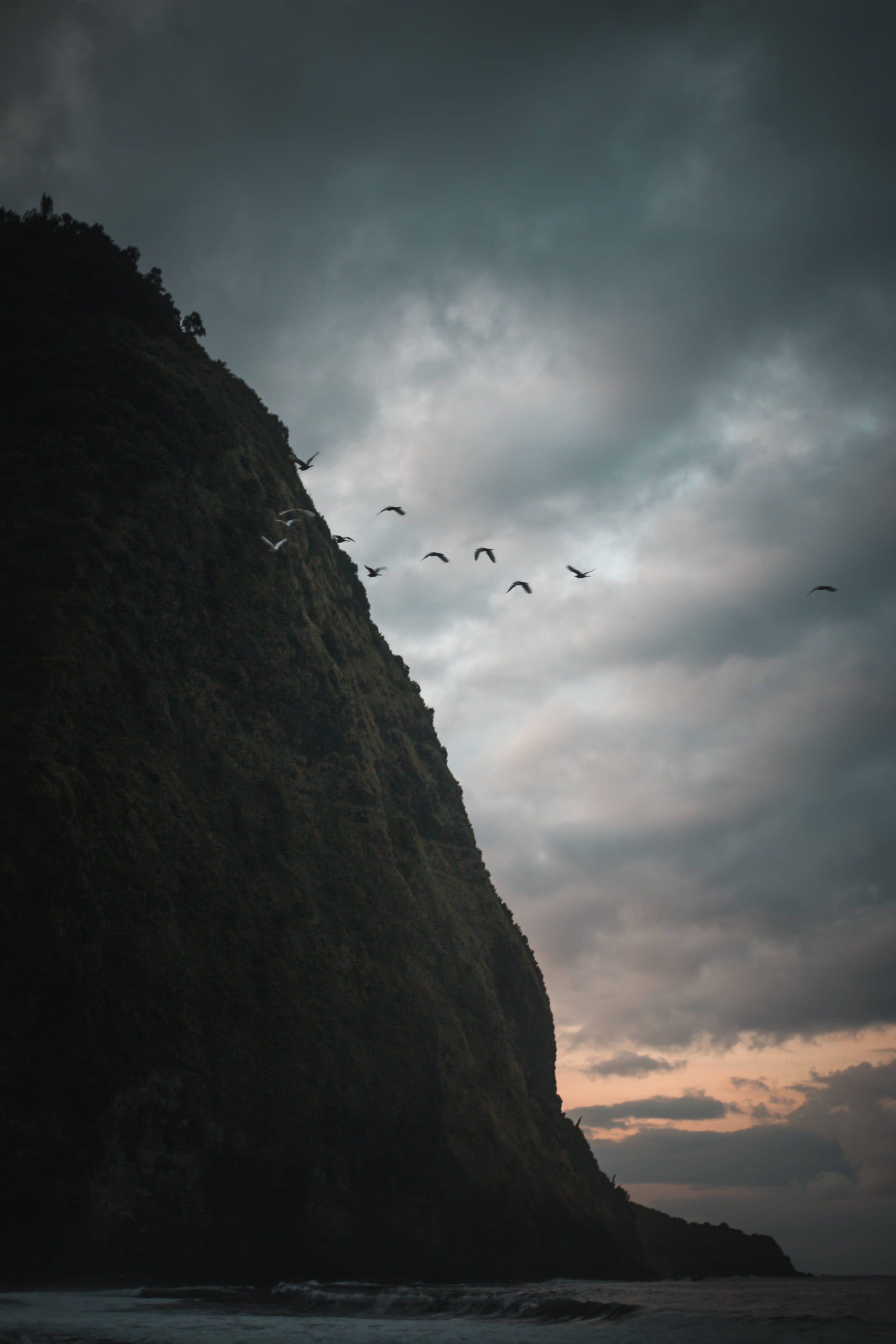 bird, animals in the wild, coast, water, rock, flock of birds, beauty in nature, cloud - sky, nature, landscape, ocean, mountain, promontory, birds, waipio valley, Phone HD Wallpaper